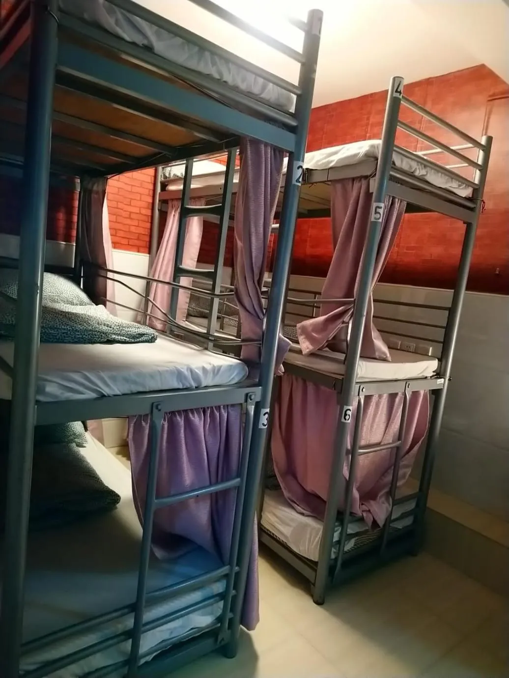 The Cultural Crashpad - 康乃馨旅館