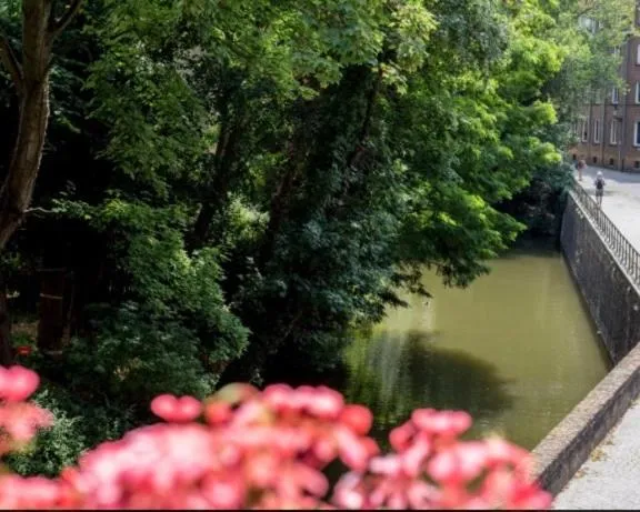 Natural landscape in Hotel Entree - Canal View Bruges