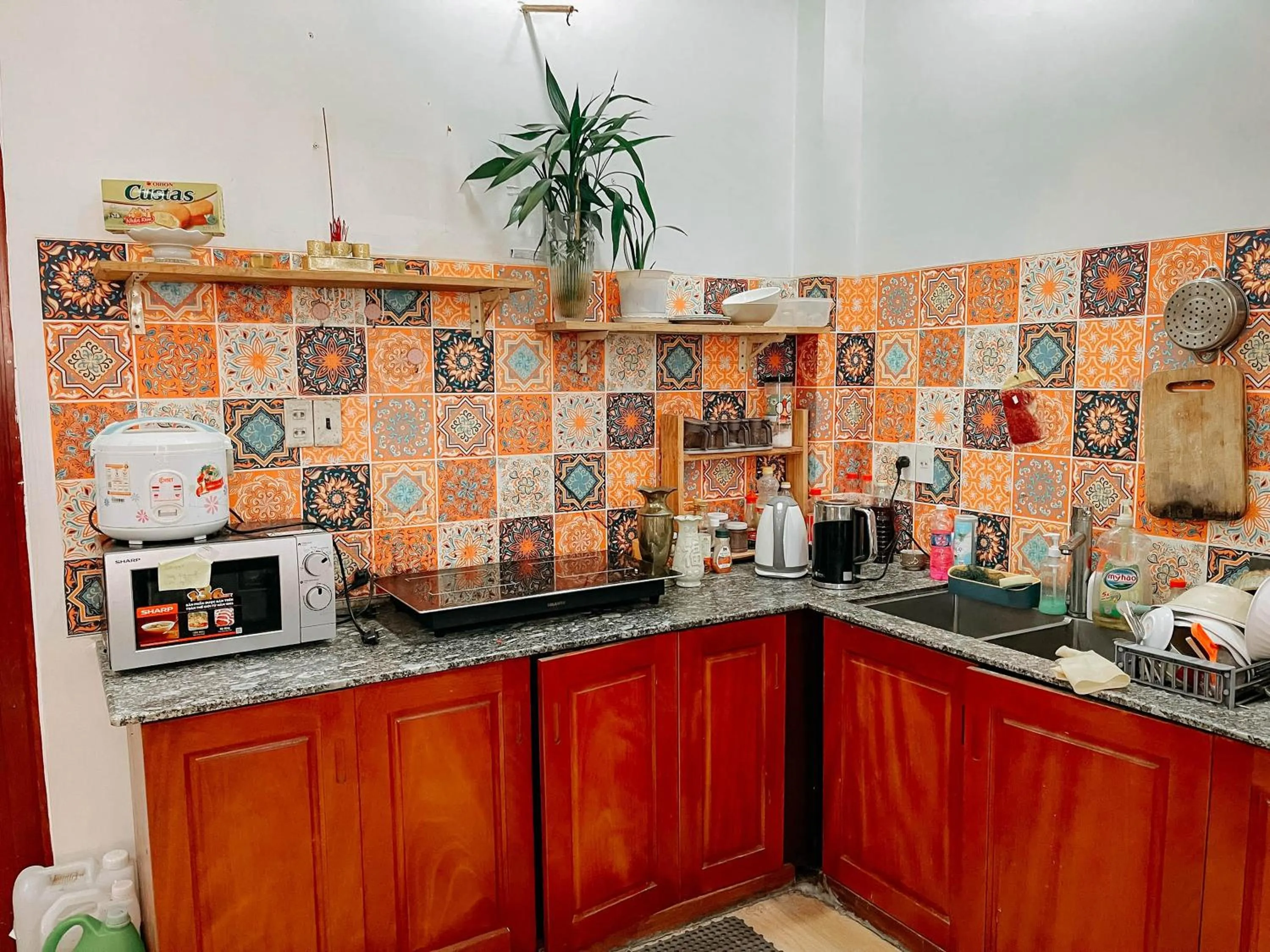 Area and facilities in Oriana Dalat