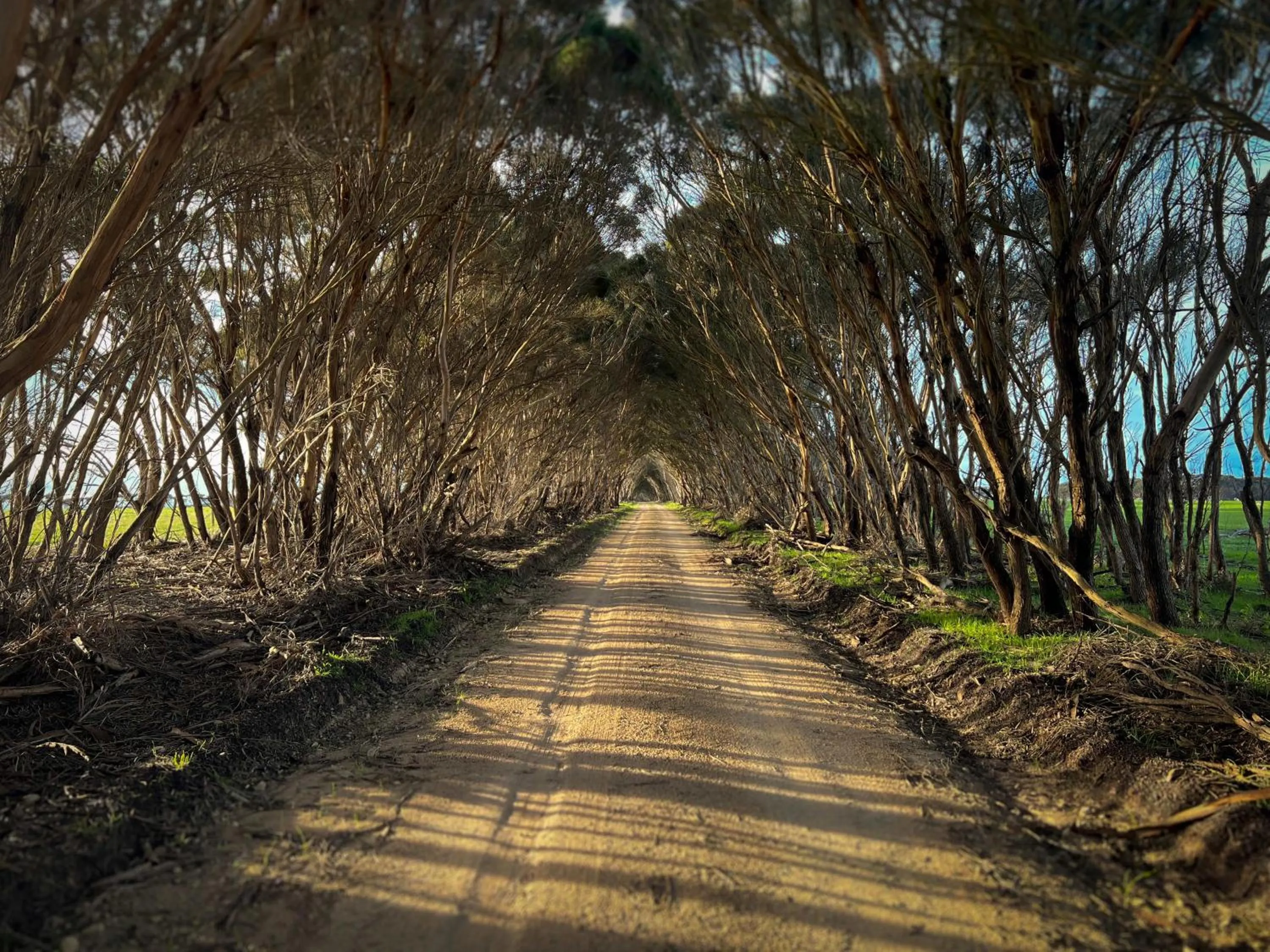 Natural landscape in CABN Kangaroo Island