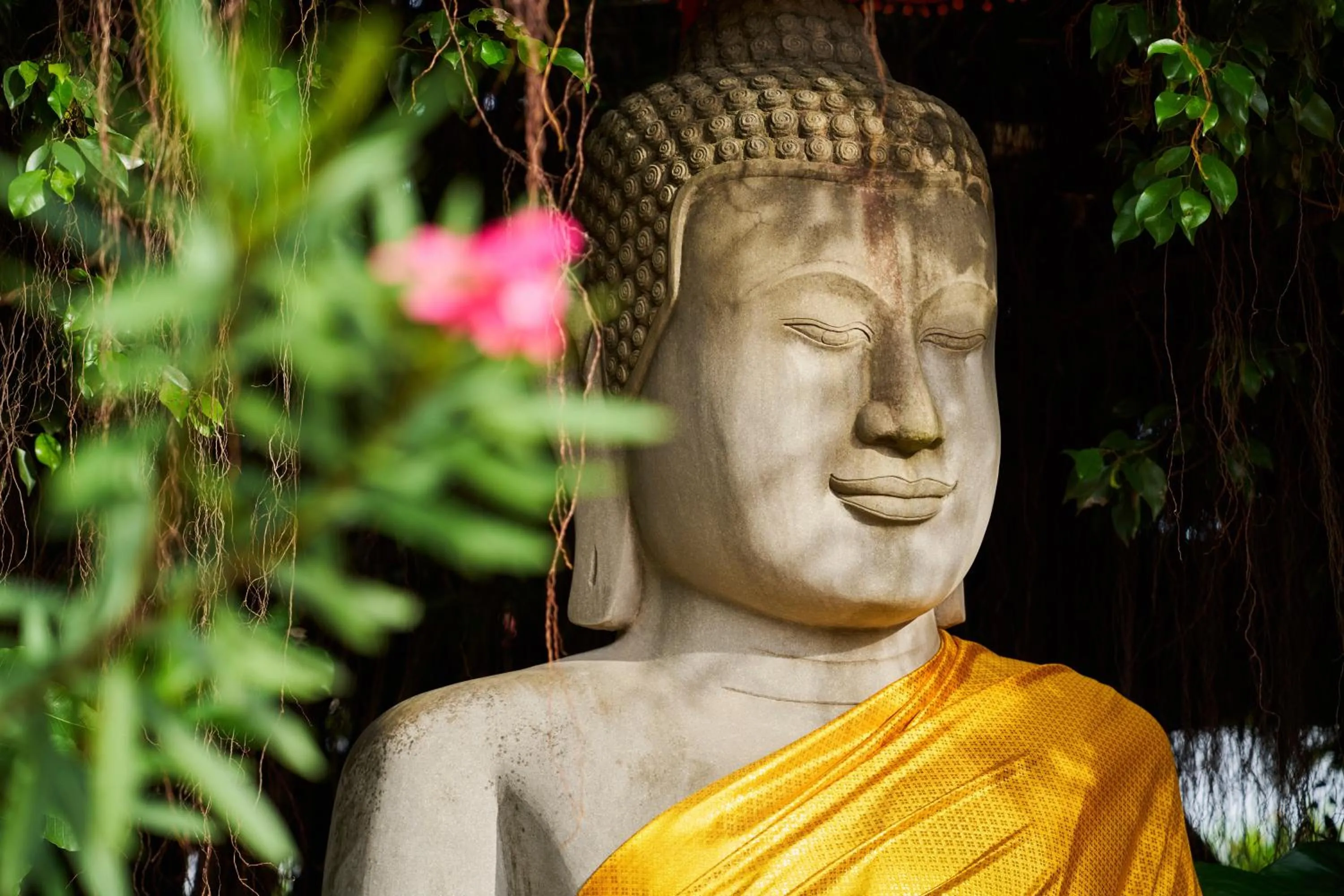 Lobby or reception in TUI BLUE Angkor Grace Wellness Resort