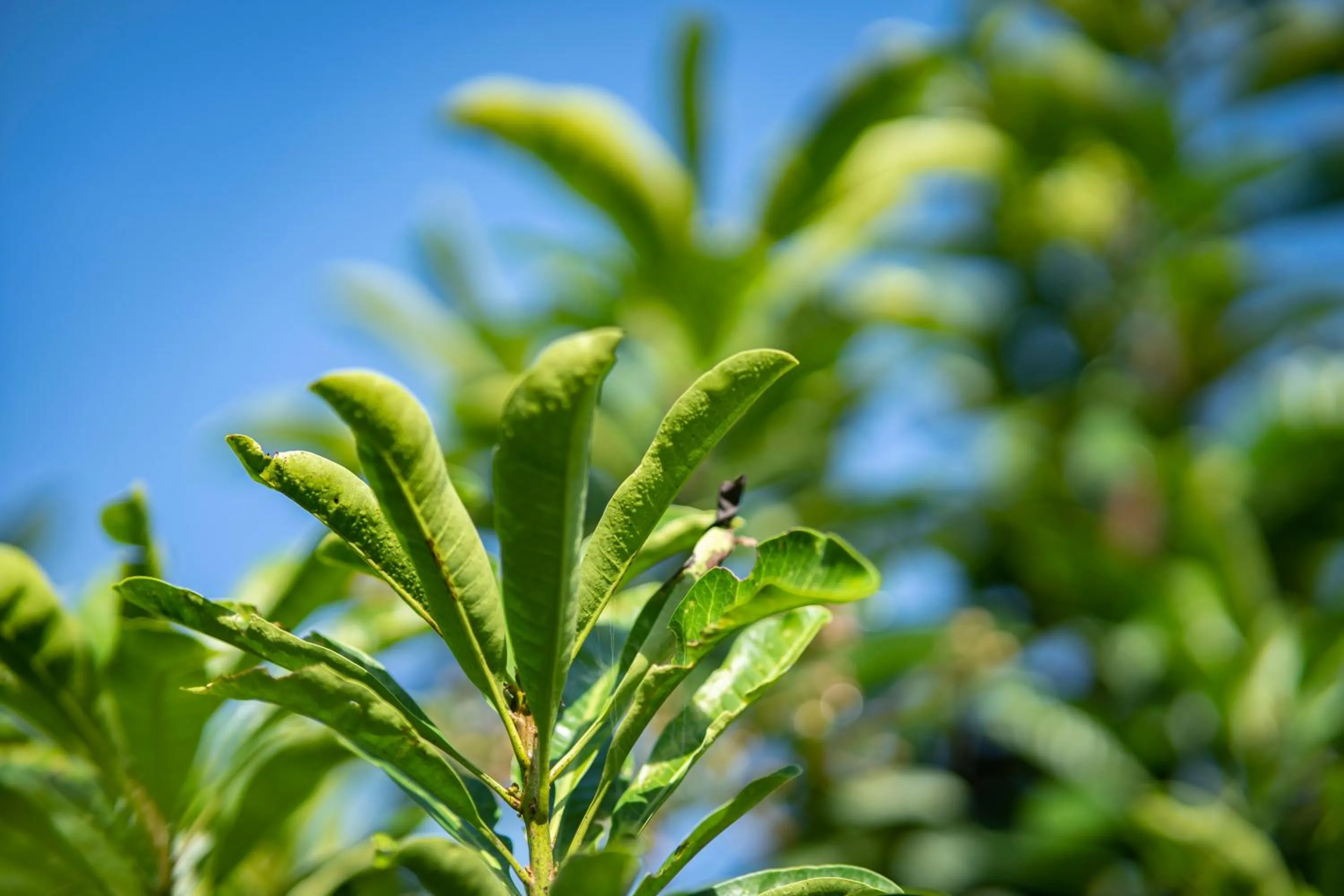 Property building in Ana-as Apartelle (GGL)