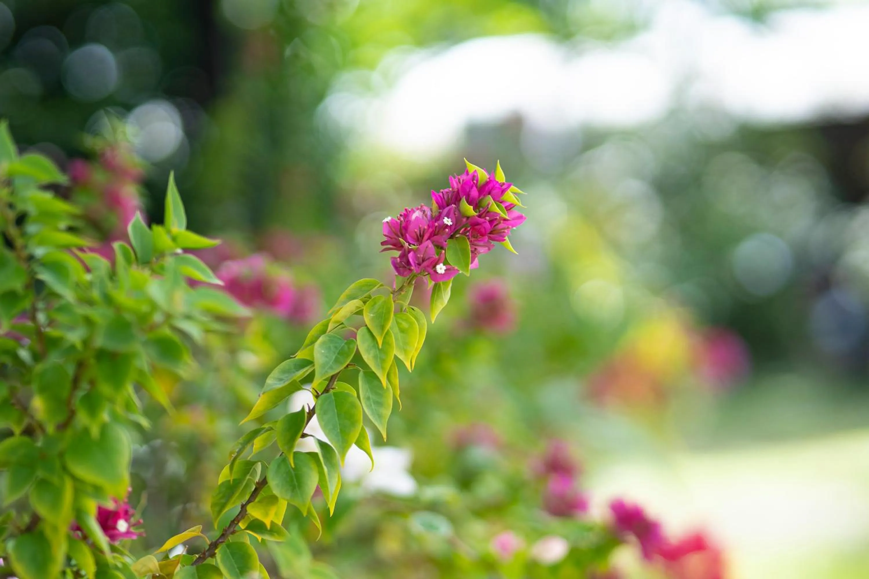 Property building in Ana-as Apartelle (GGL)