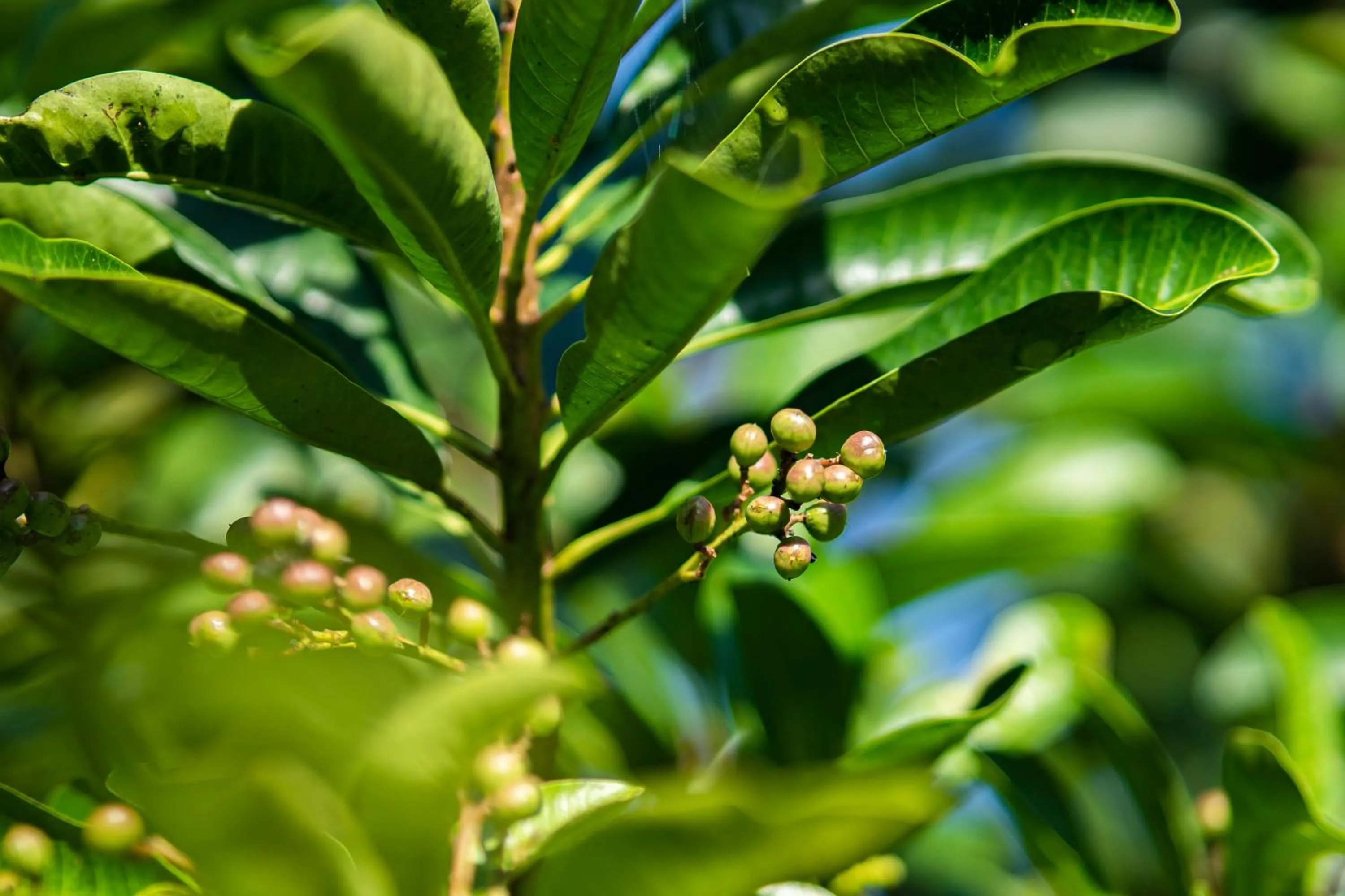 Property building in Ana-as Apartelle (GGL)