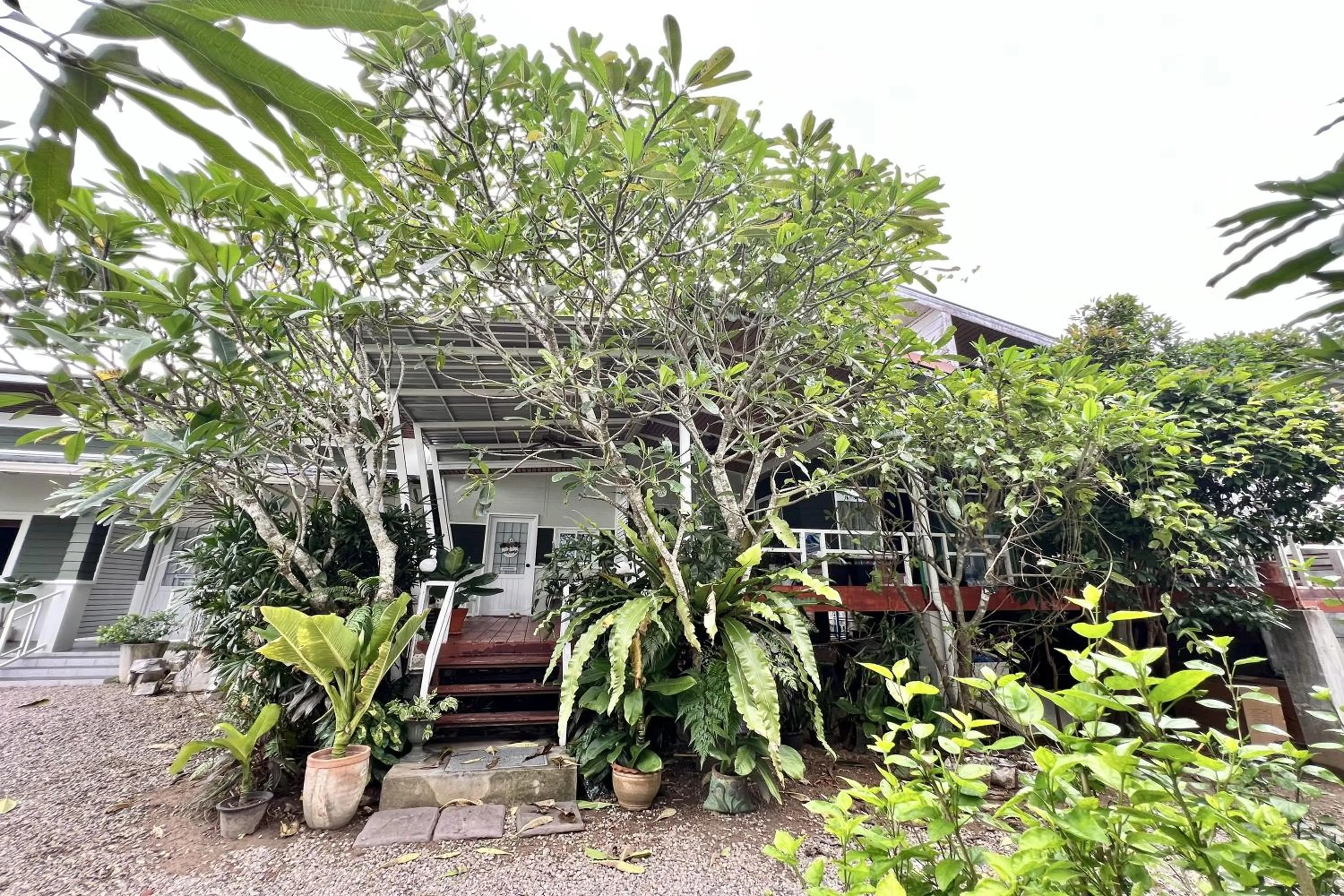 Property building in Bann Kam B&B