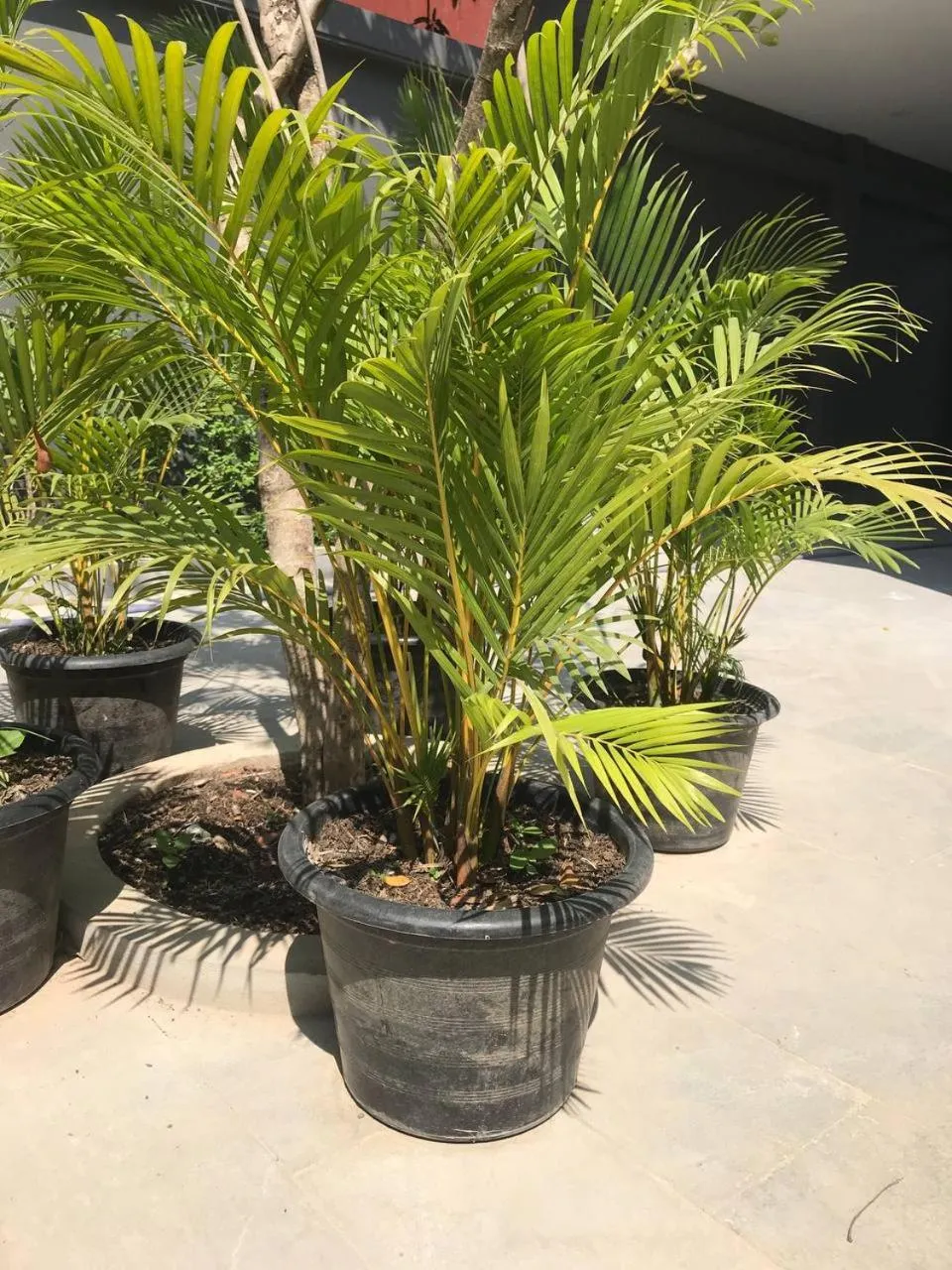 Children play ground in Hotel Chom Chao City