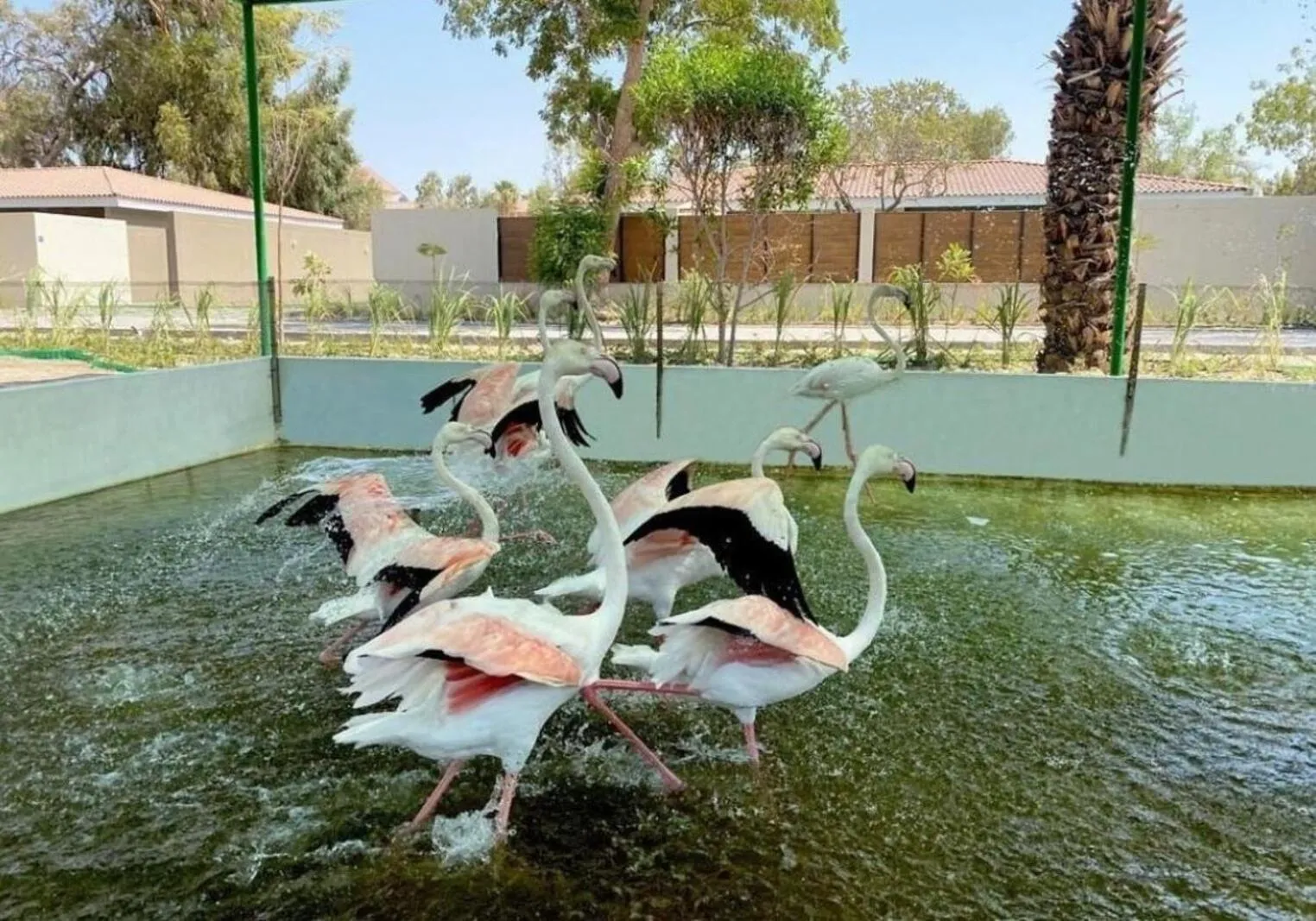 Property building in Nordic Gardens