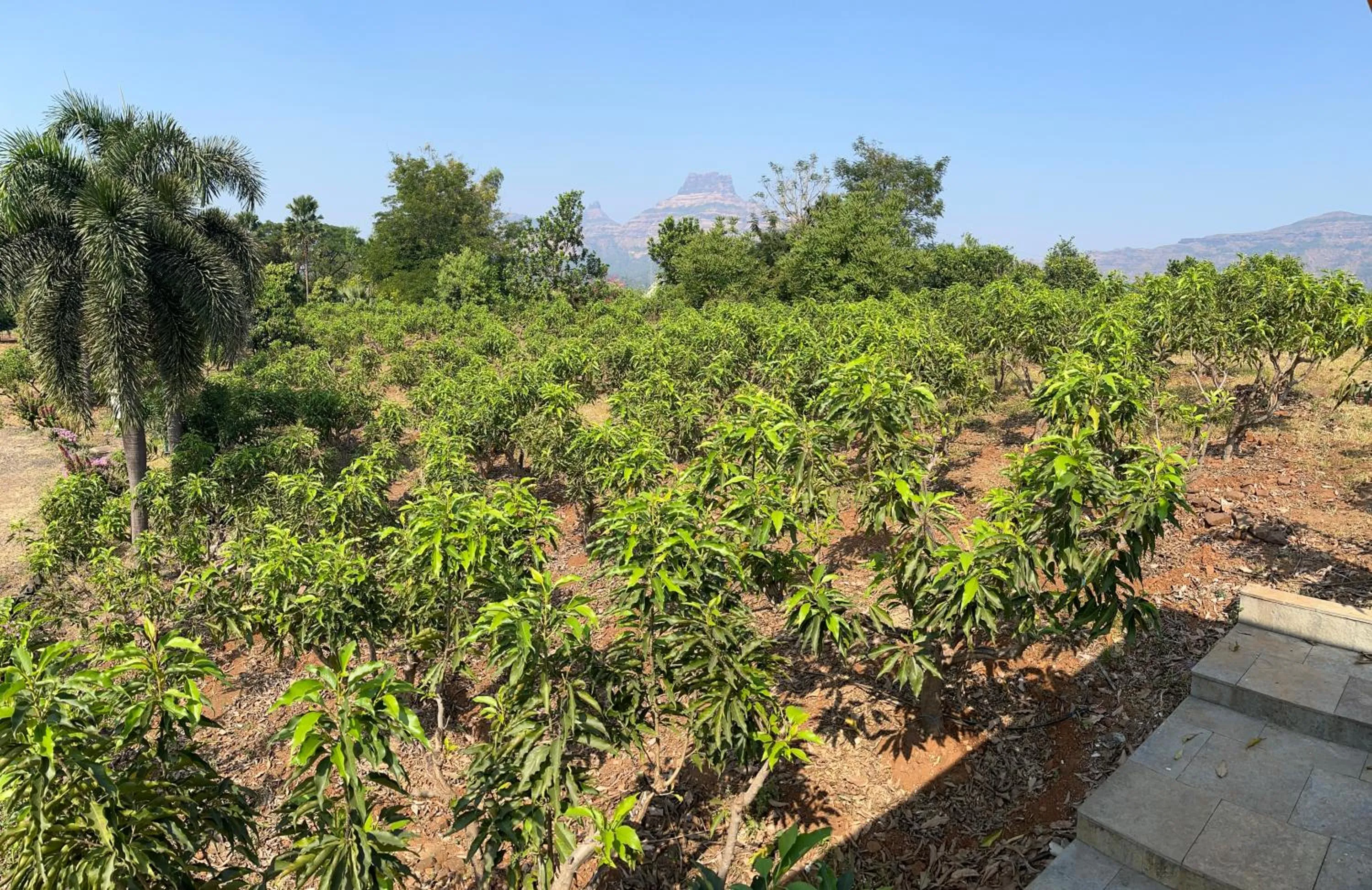 The Riverstone Agro Farm