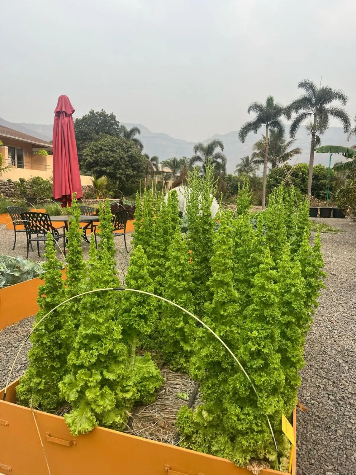 The Riverstone Agro Farm