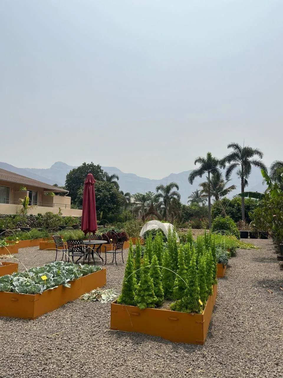 The Riverstone Agro Farm