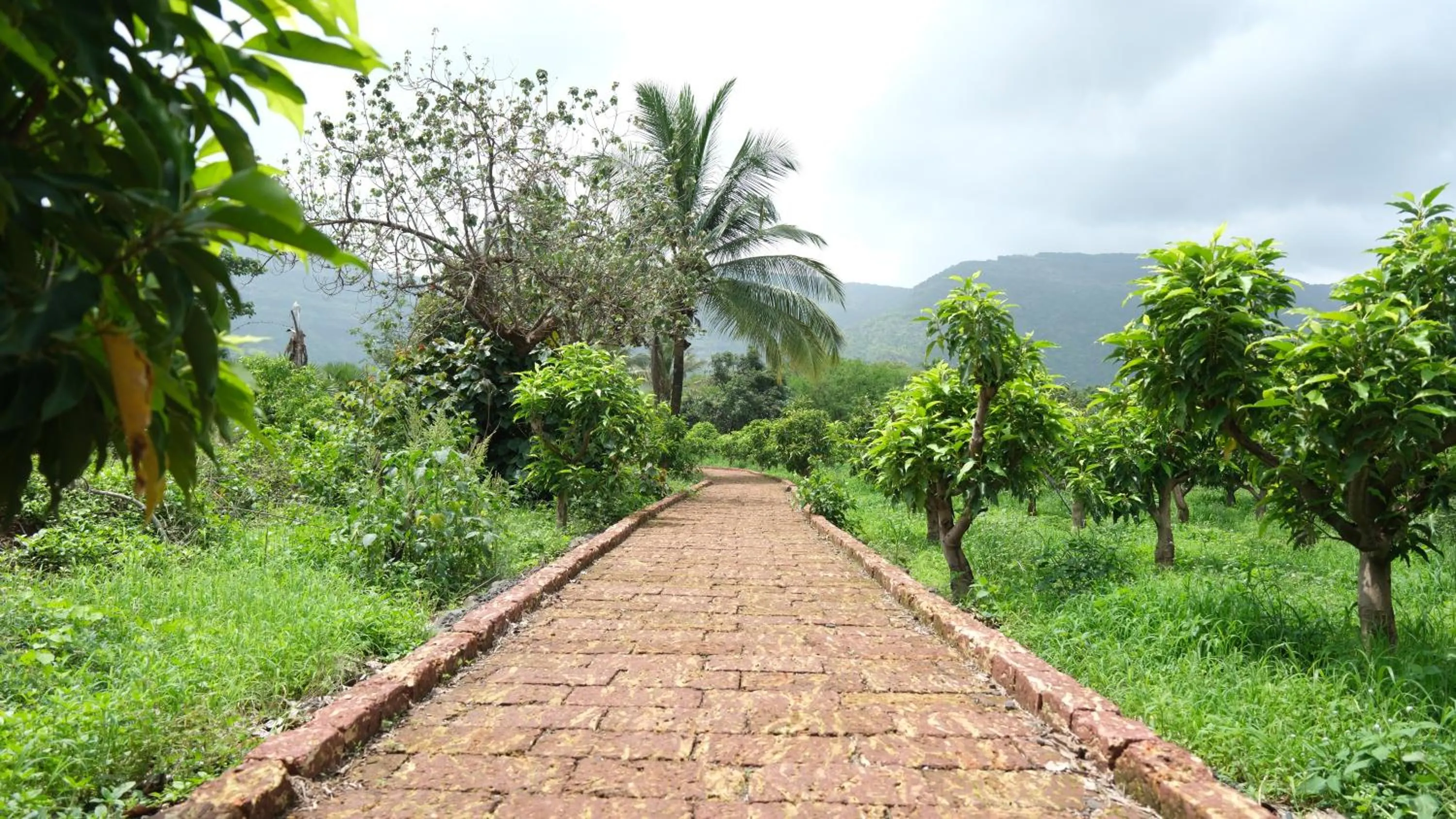 The Riverstone Agro Farm