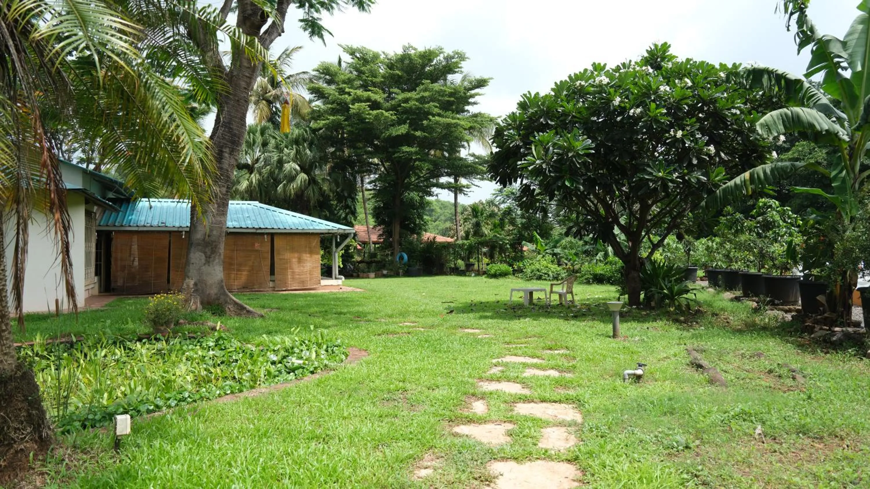 The Riverstone Agro Farm