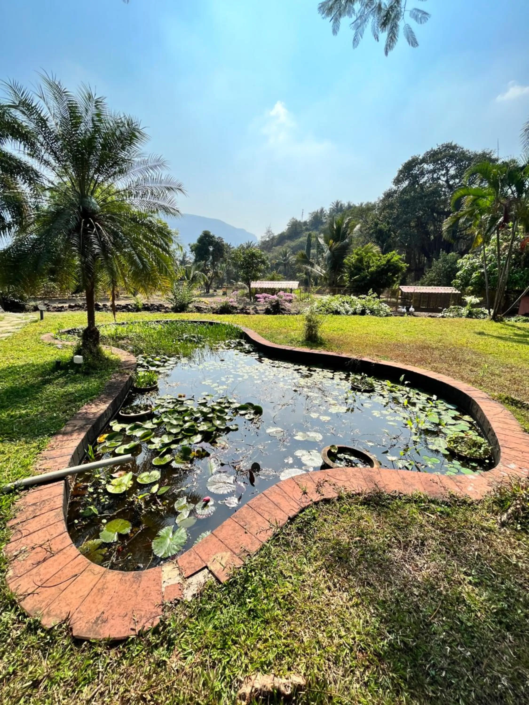 The Riverstone Agro Farm