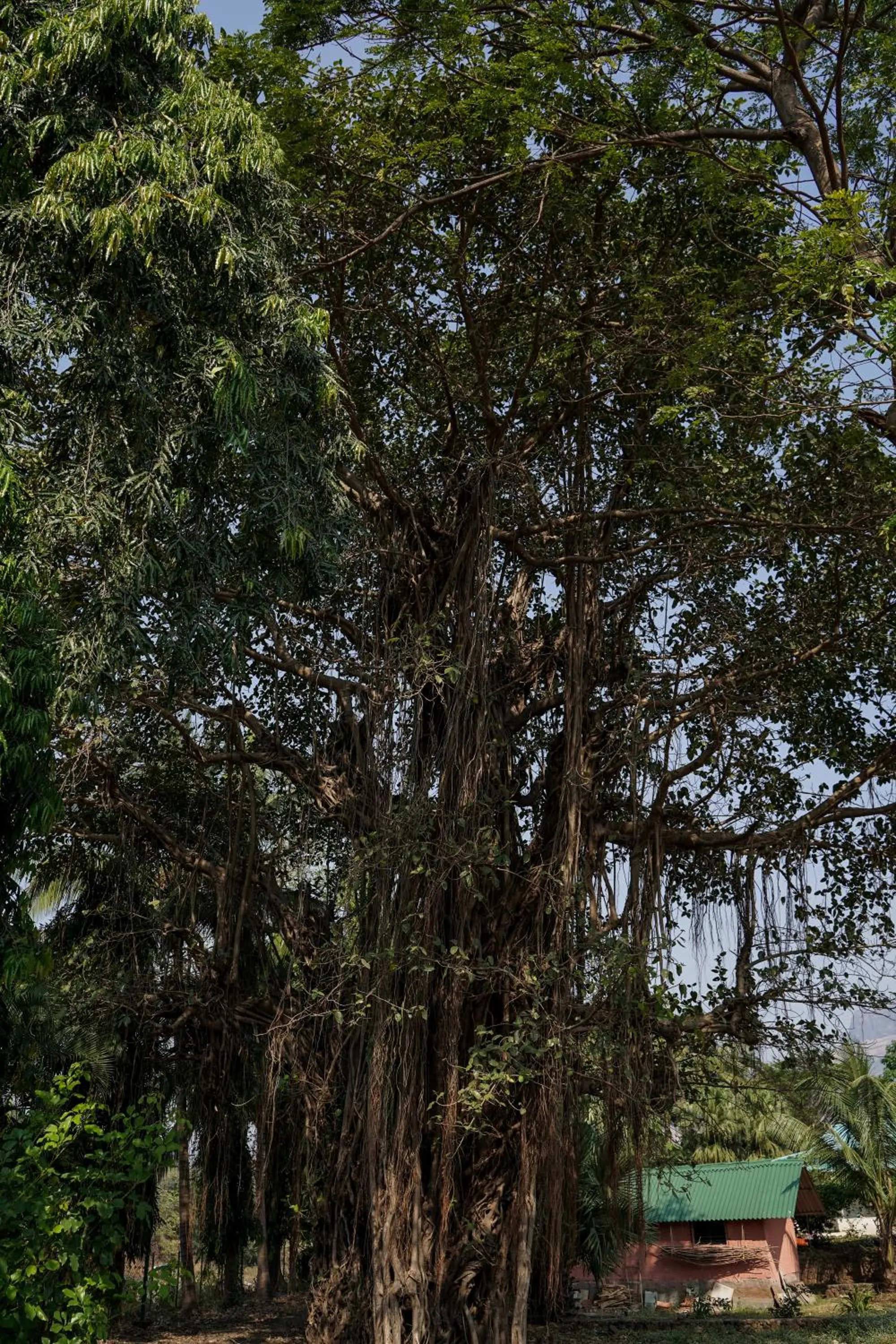 Natural landscape in The Riverstone Agro Farm