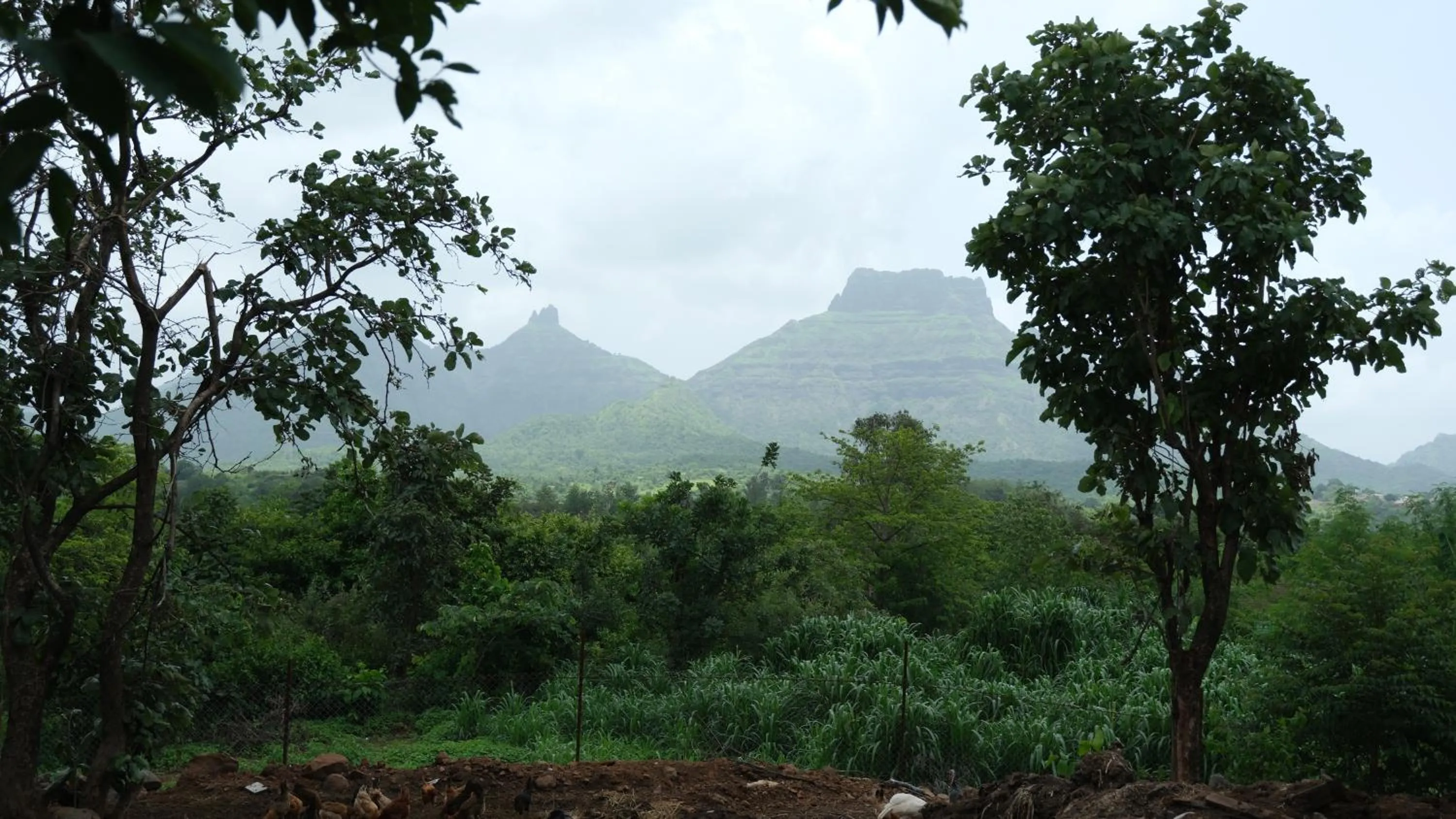 The Riverstone Agro Farm