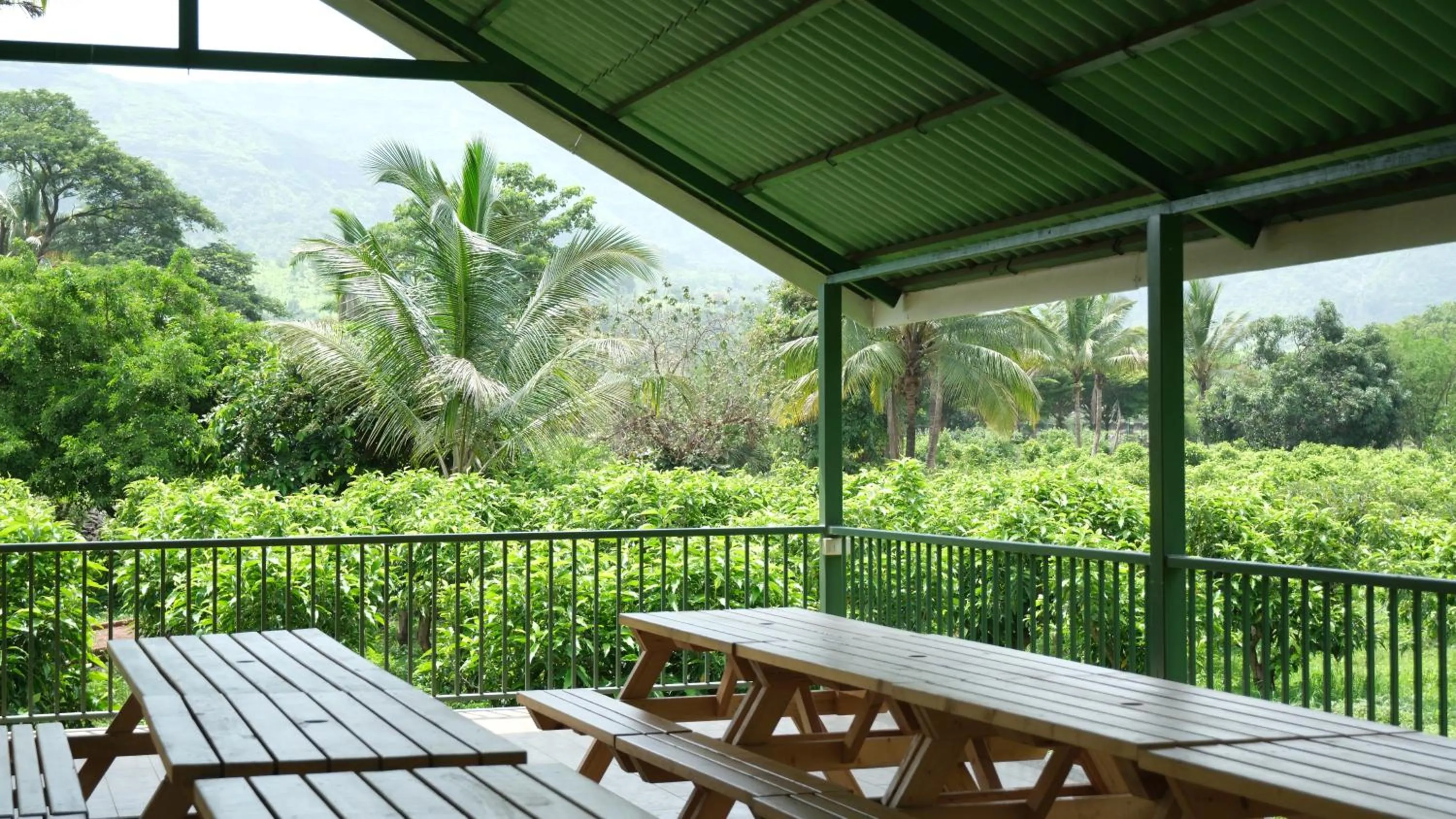 The Riverstone Agro Farm