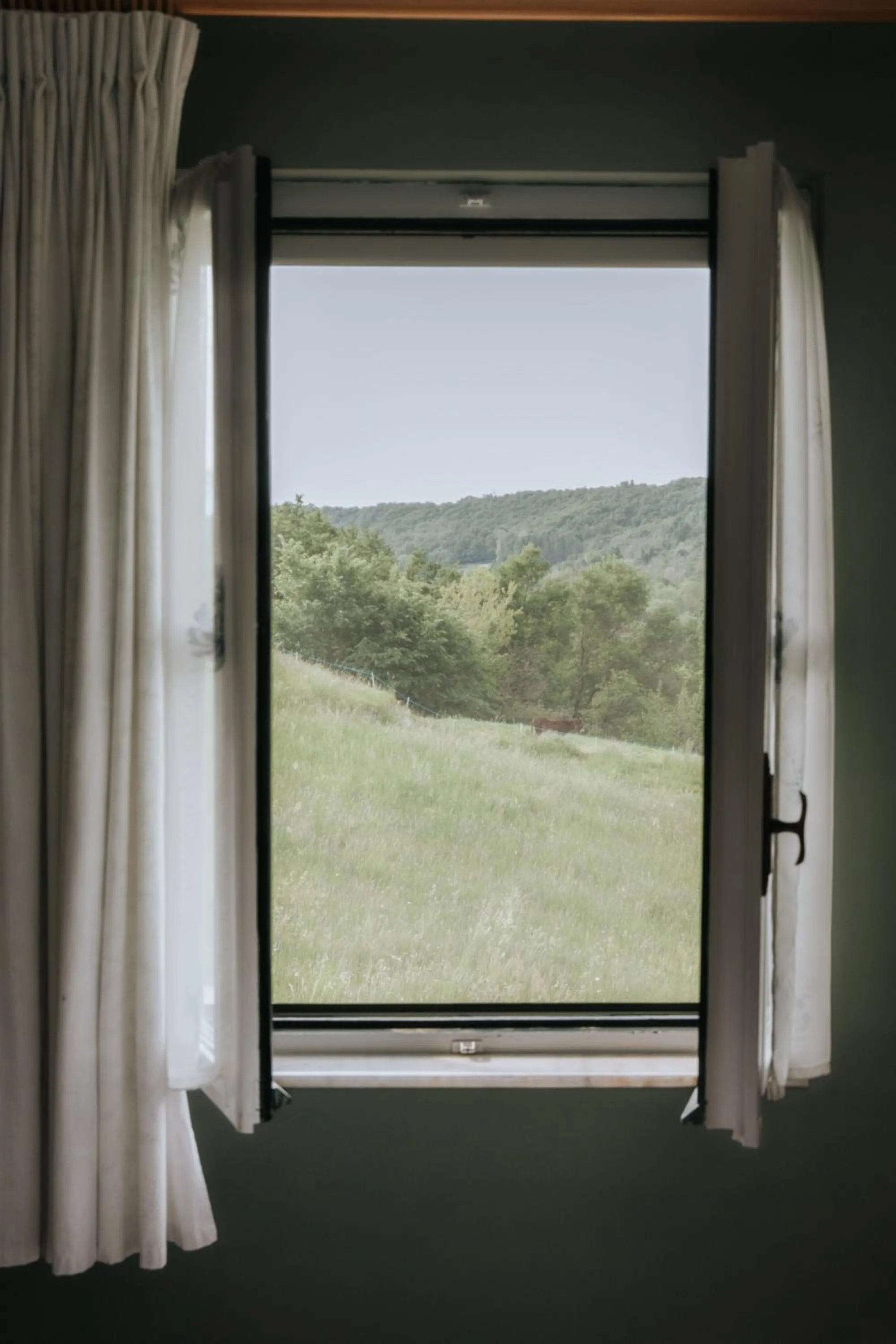 View (from property/room) in Casa Joop Dolce far Niente