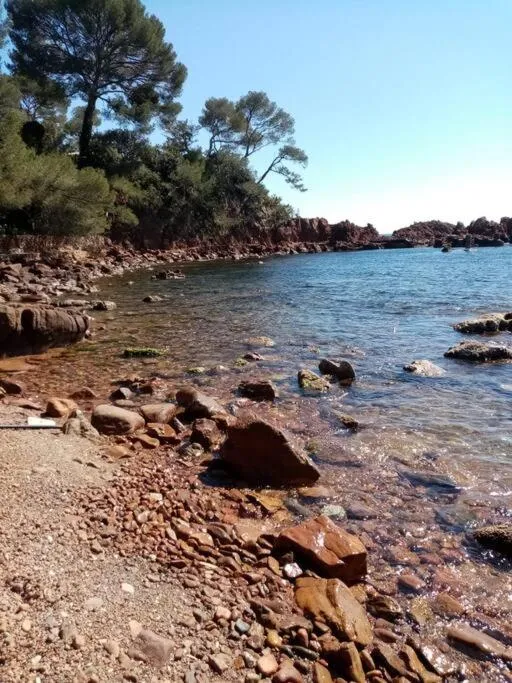 Les Orangers de Santa Lucia, vue mer et port, St Raphaël
