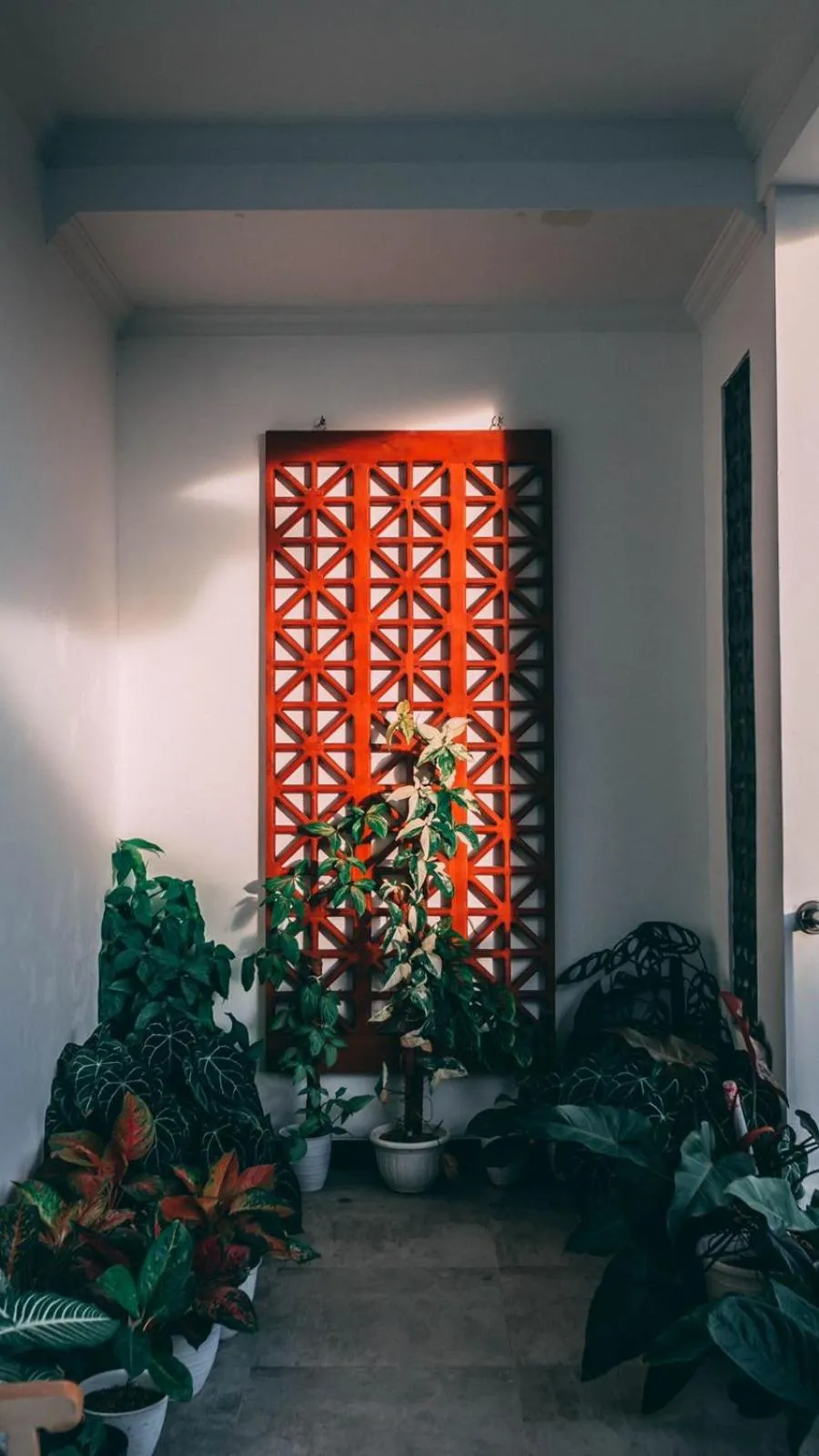 Nexdeco House Homestay Syariah Solo