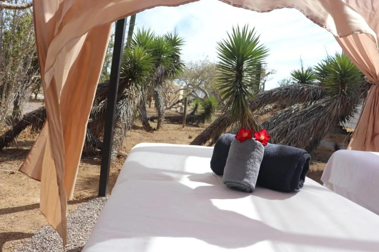 Massage in EXPERIENCE