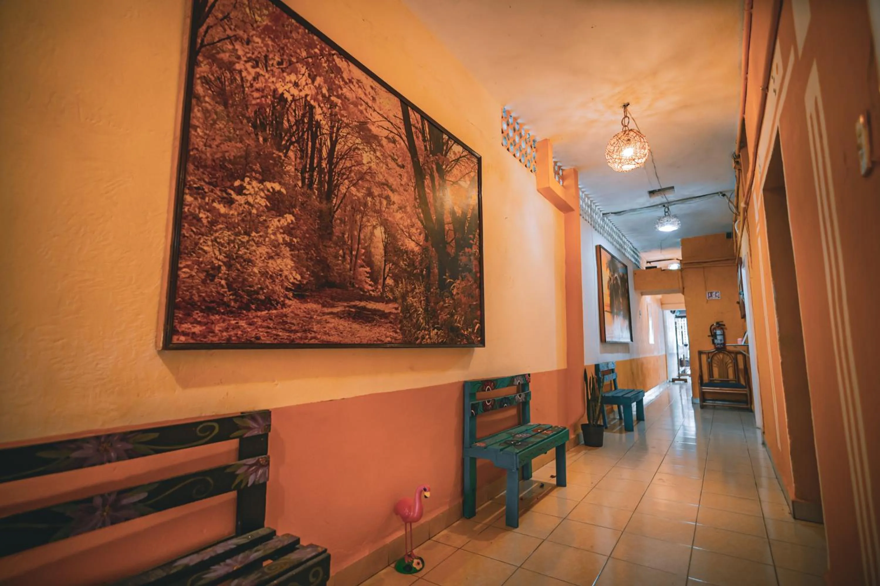 Property building in Hotel Posada Aurora