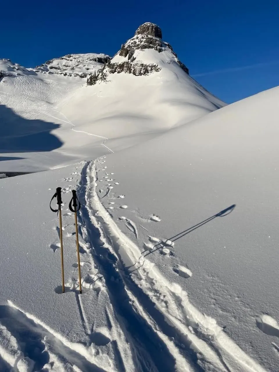 Natural landscape in Podenhaus