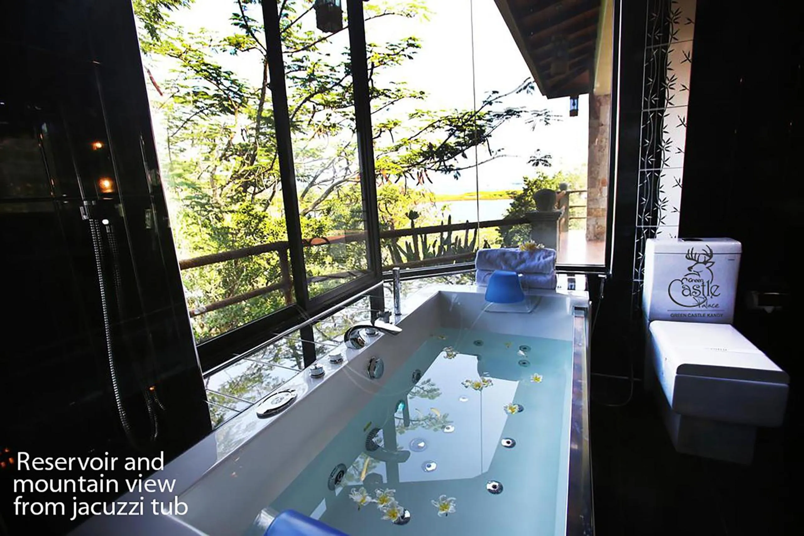 Bathroom in castle palace kandy