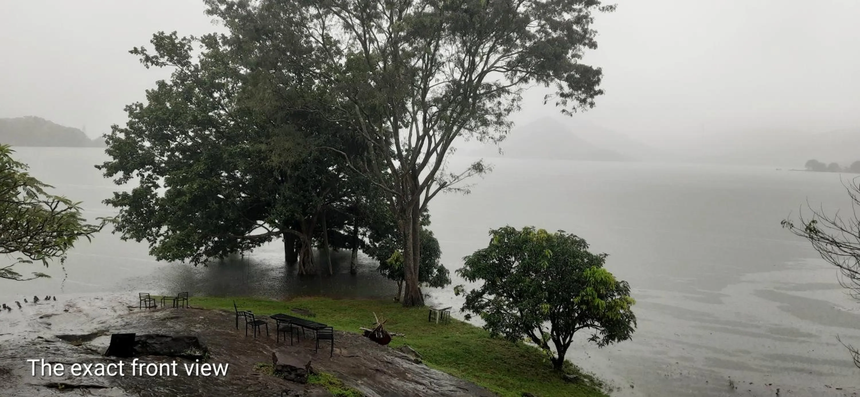 View (from property/room) in castle palace kandy