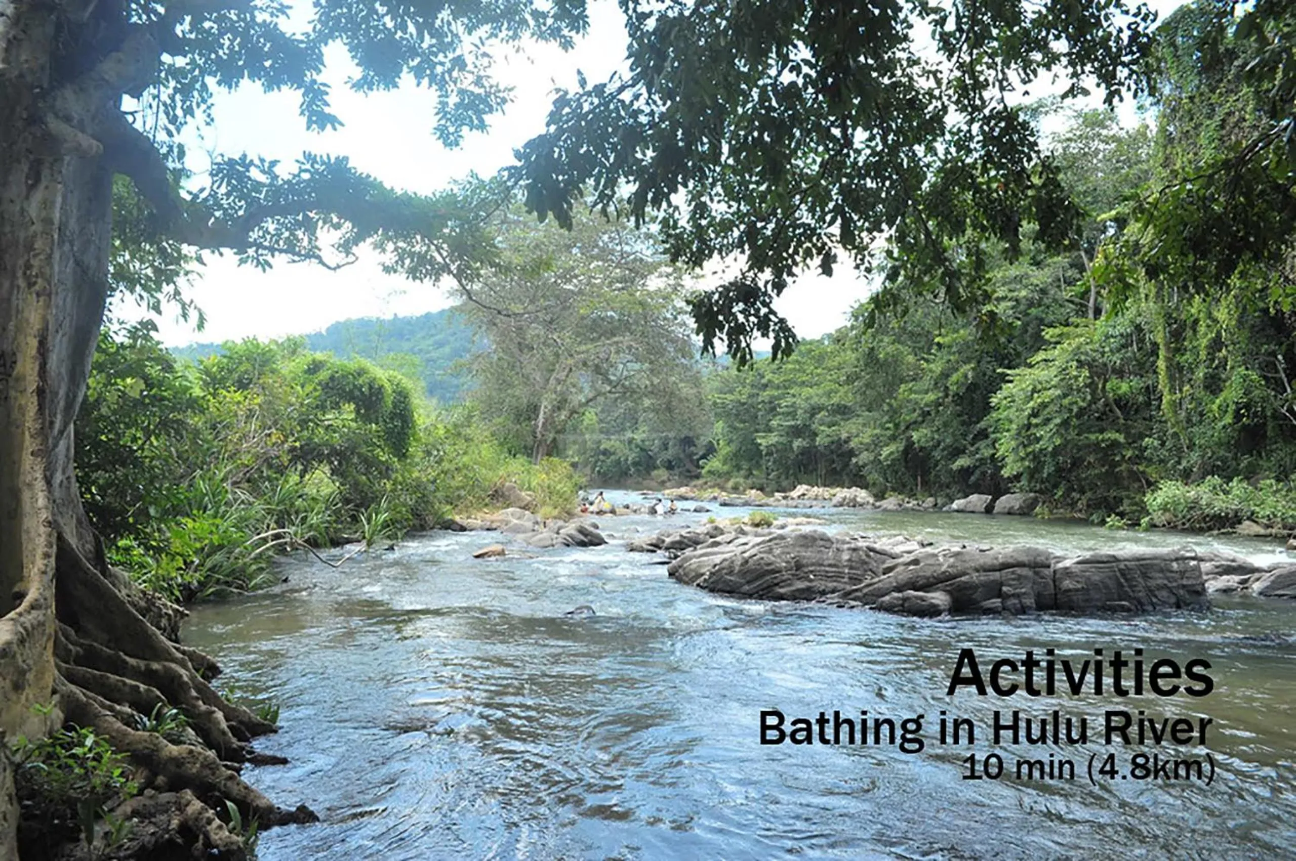 Activities in castle palace kandy