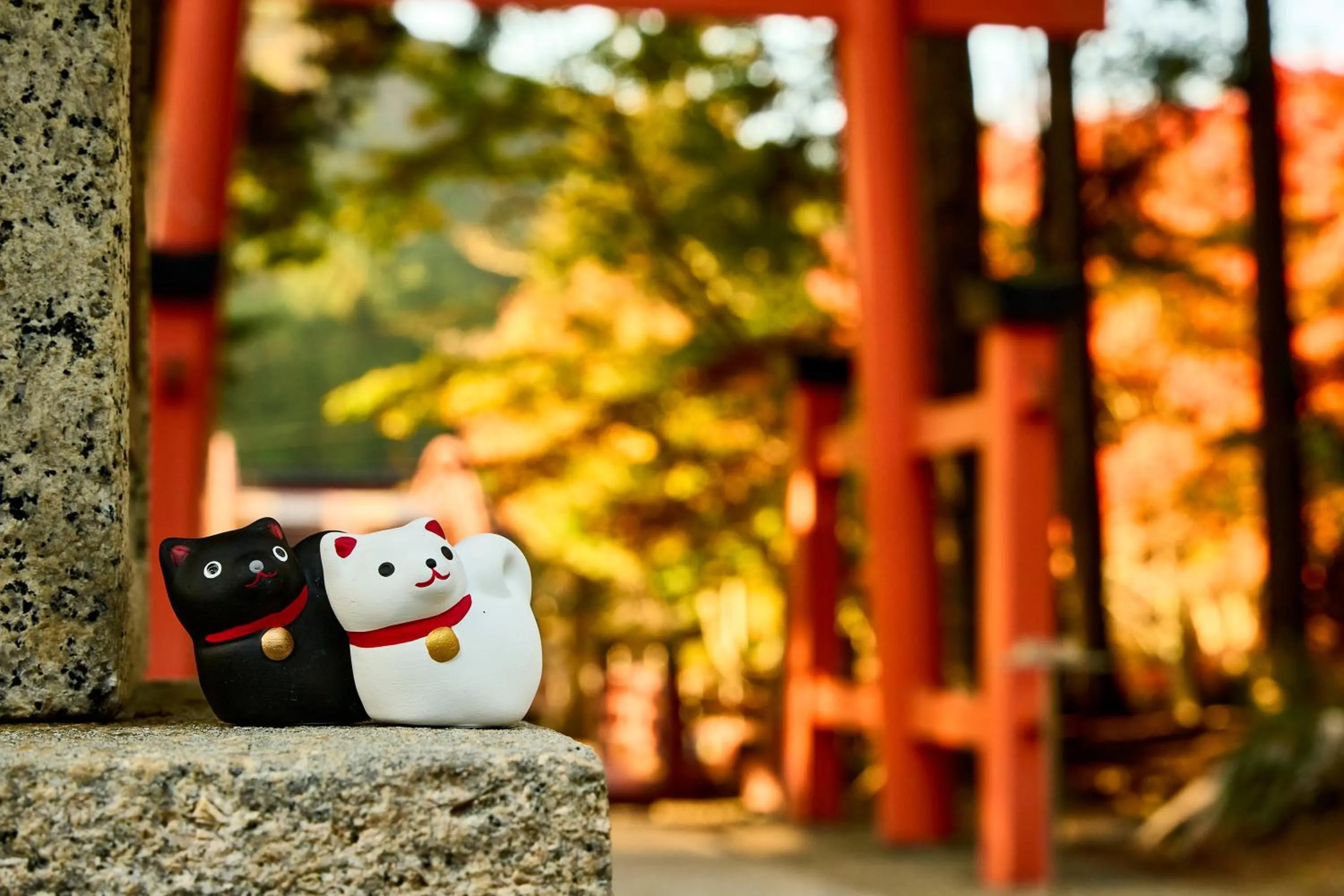 Nearby landmark in Sanso Amanosato