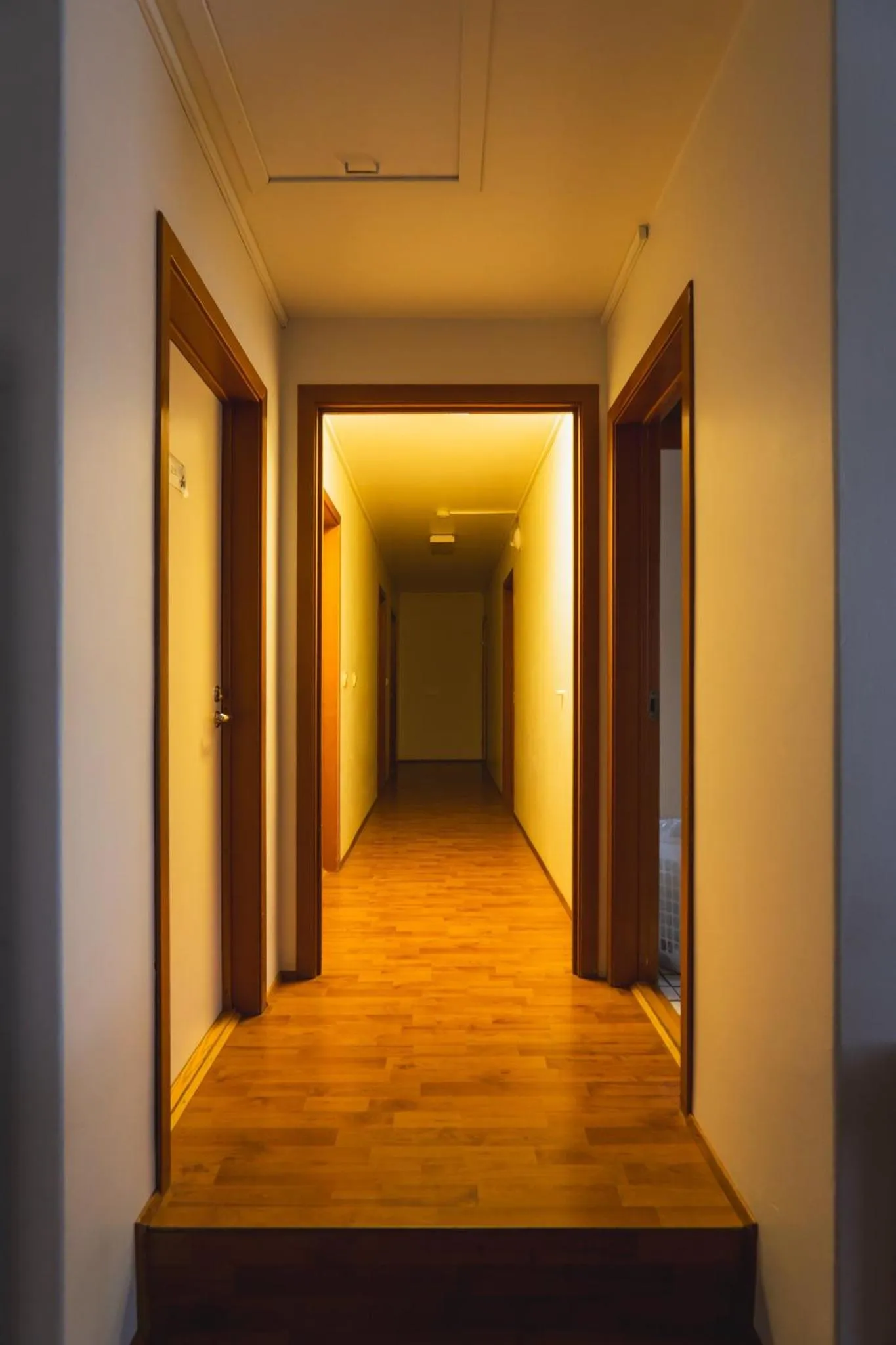 Decorative detail in Studlagil INN Hostel