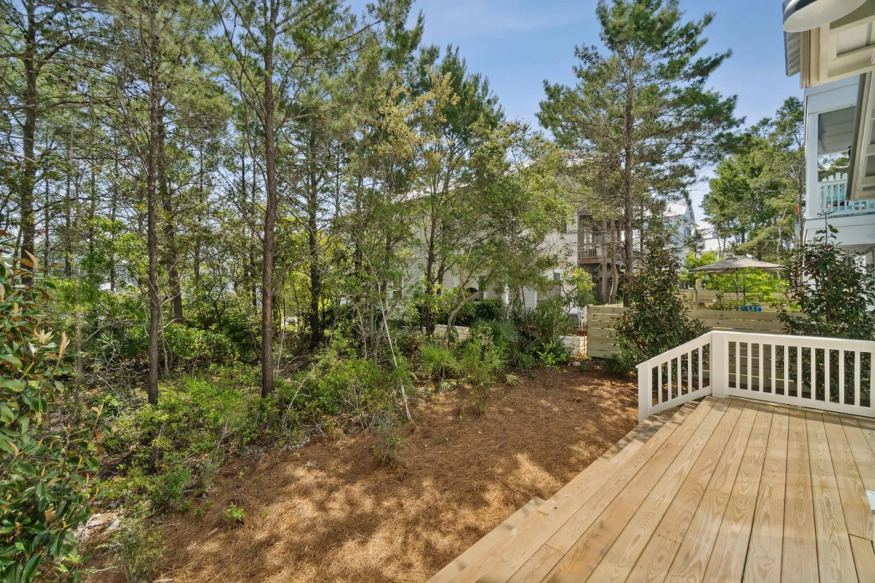 Natural landscape in 30A Beach House - Harlie's House by Panhandle Getaways