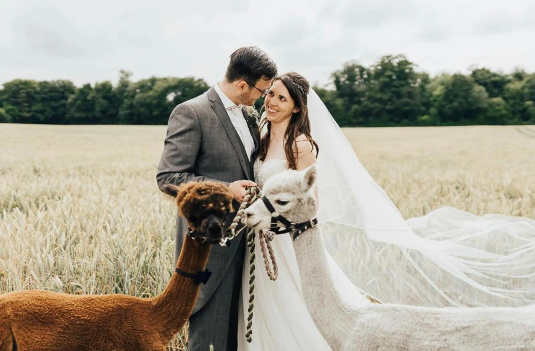 wedding in Finger Lakes Treehouse