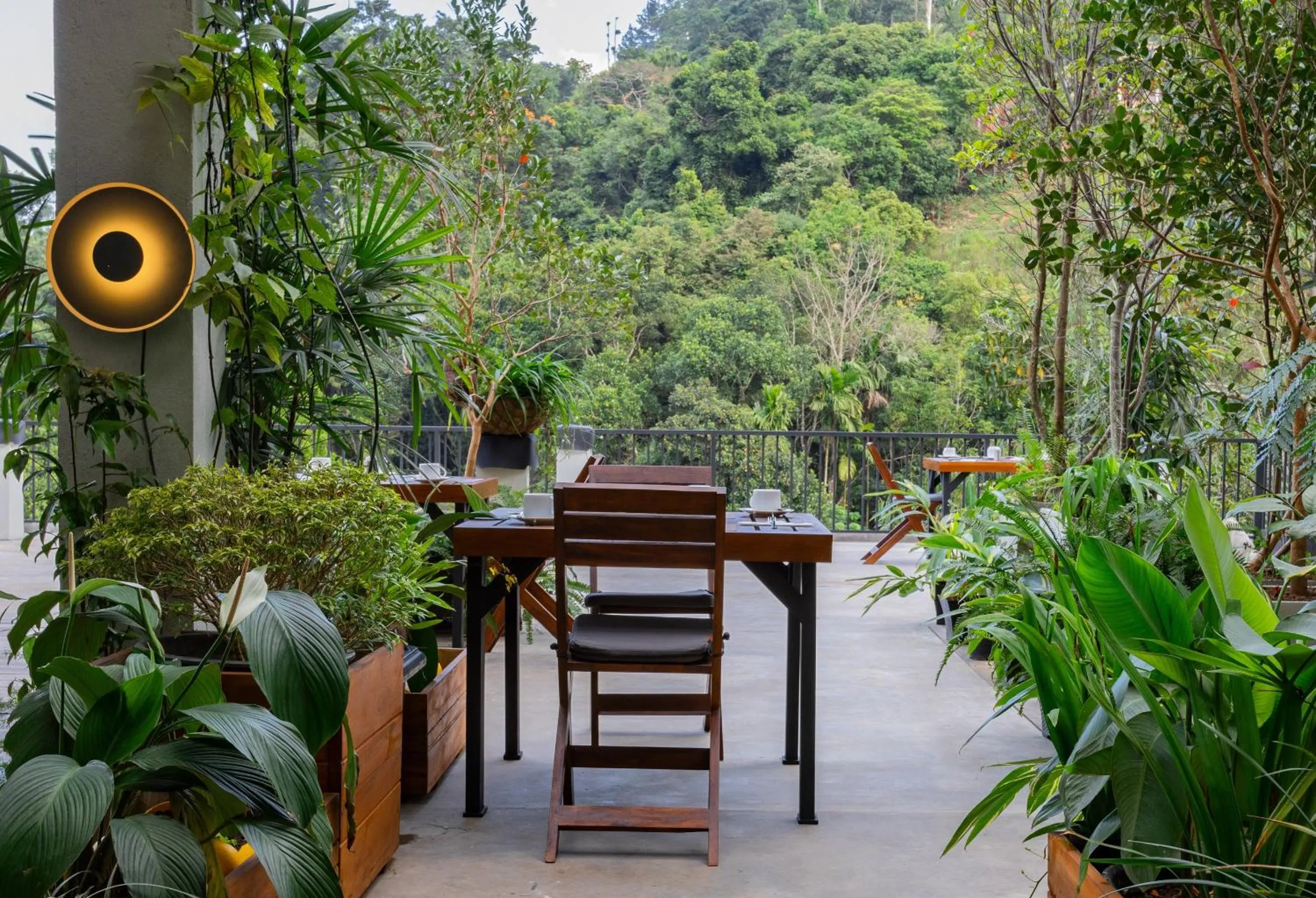 Natural landscape in Namara Green Ella