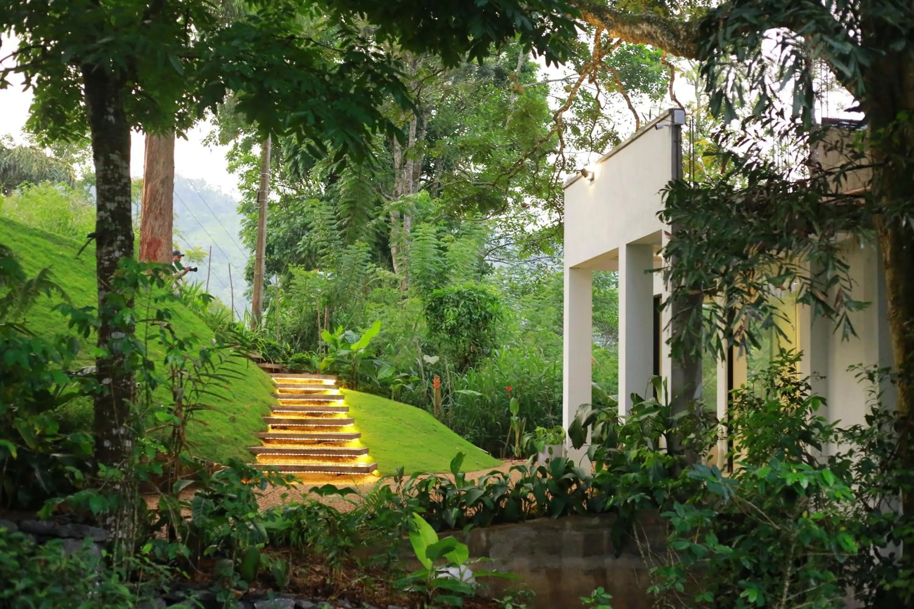 Natural landscape in Namara Green Ella