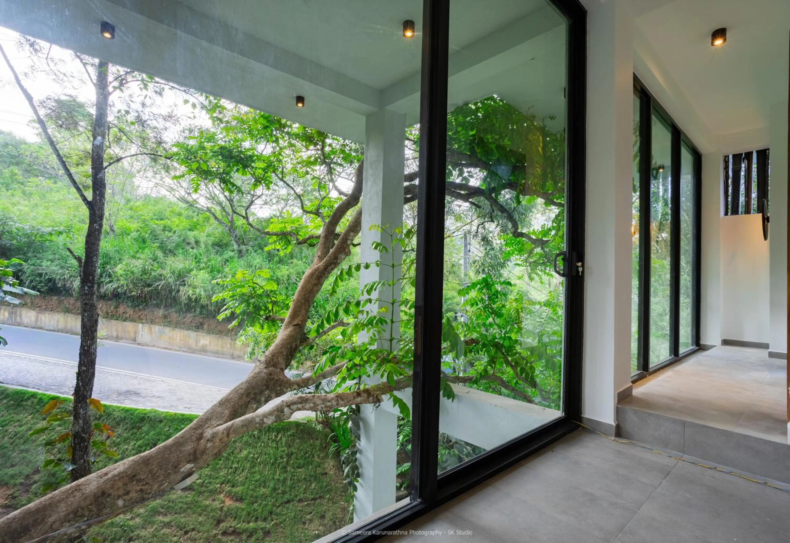 Natural landscape in Namara Green Ella