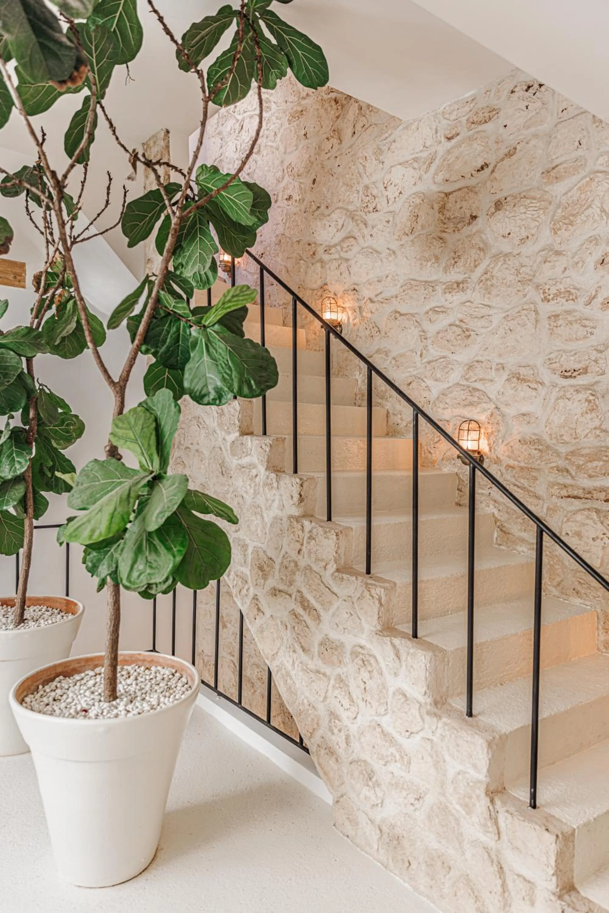 Pure House Marrakech