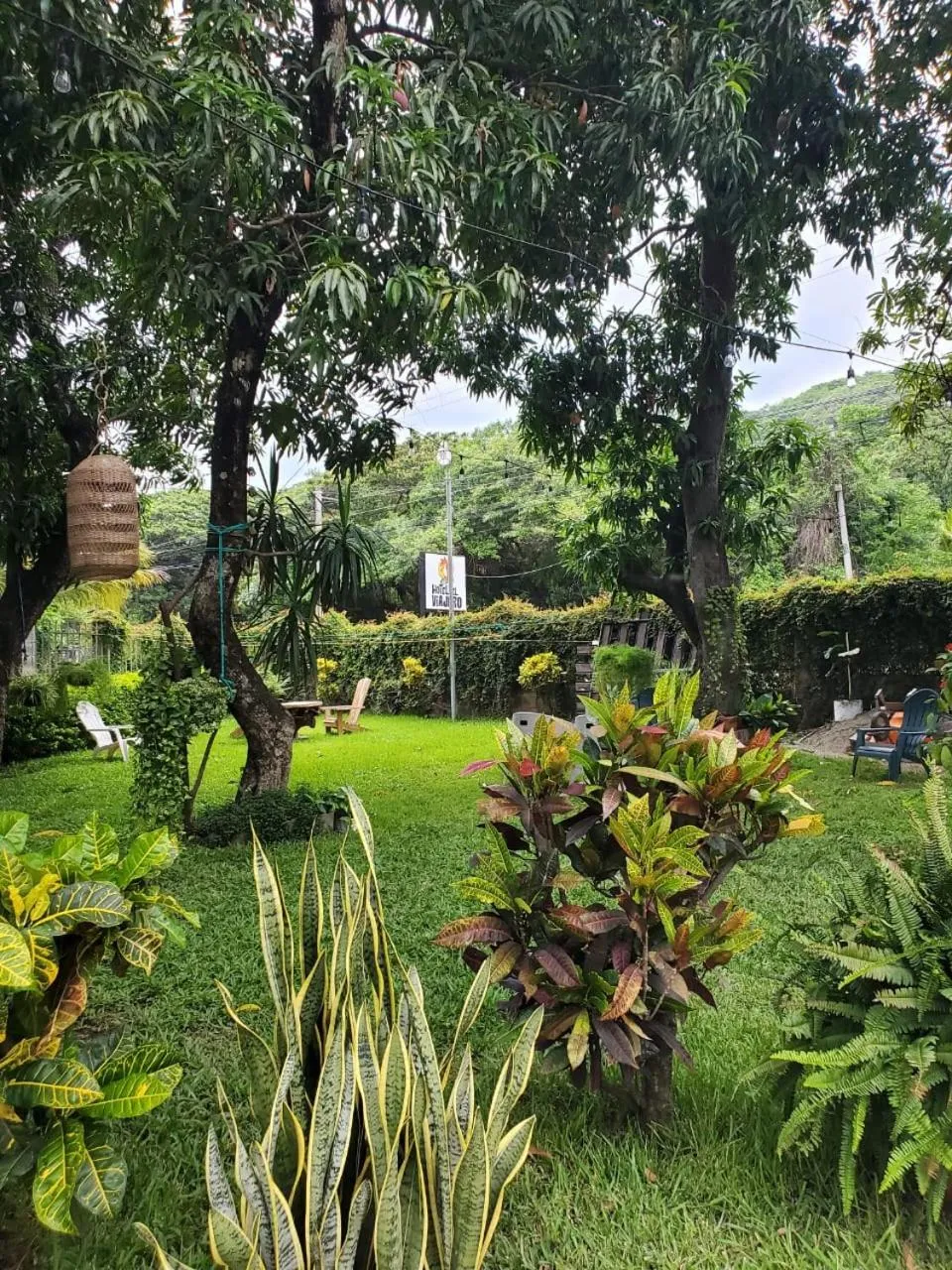 Natural landscape in HOTEL EL VIAJERO