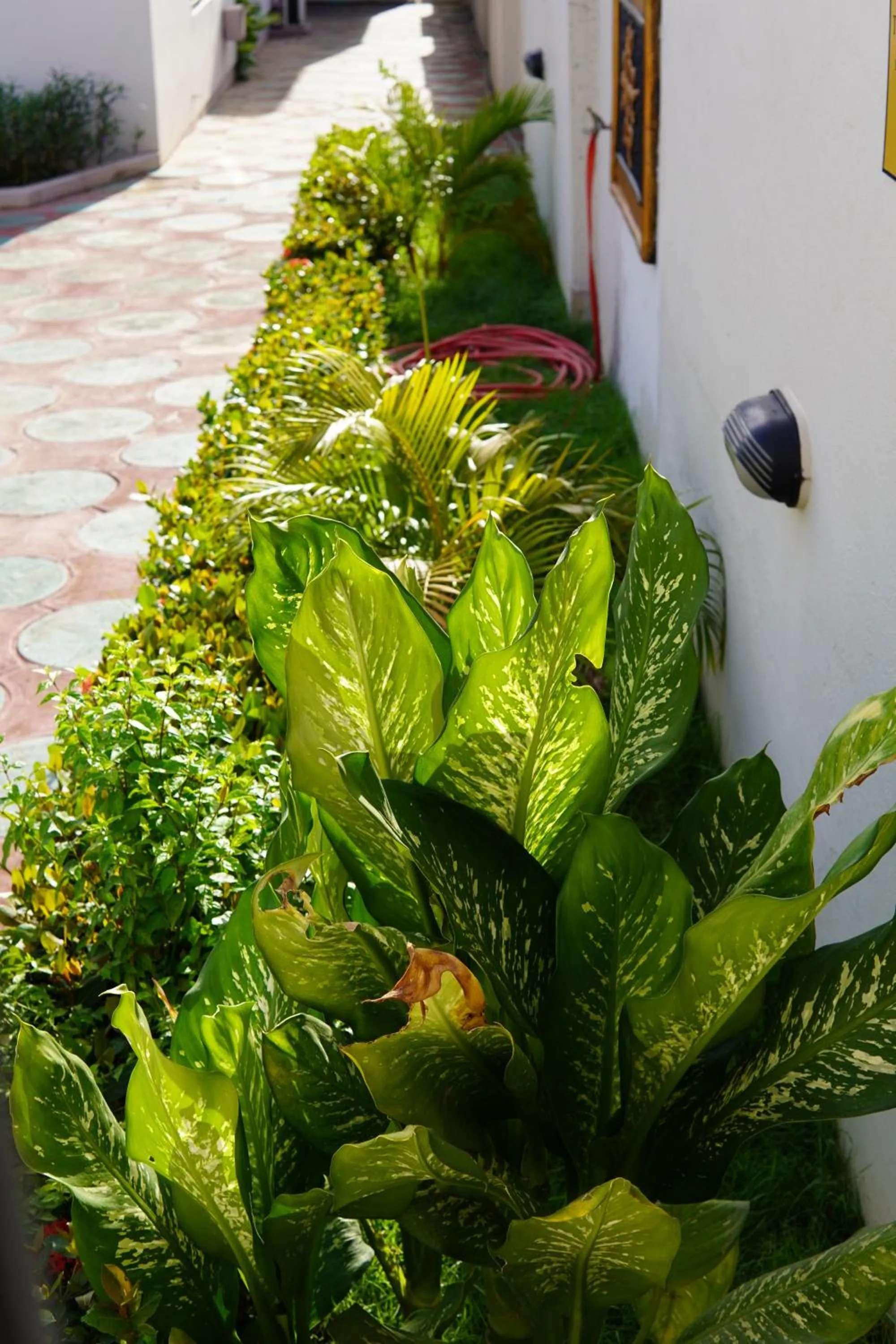 PRESTIGE Guesthouse ,Ksi