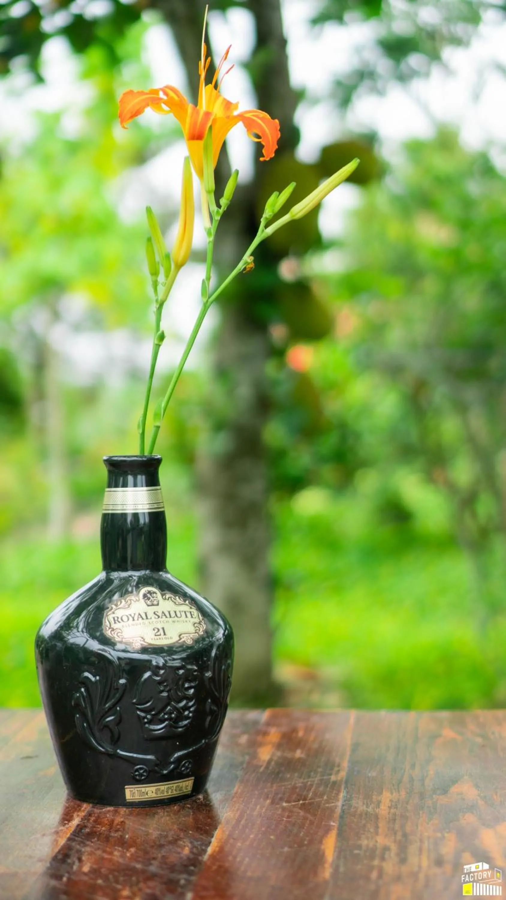 Spring in The Factory Ba Vì