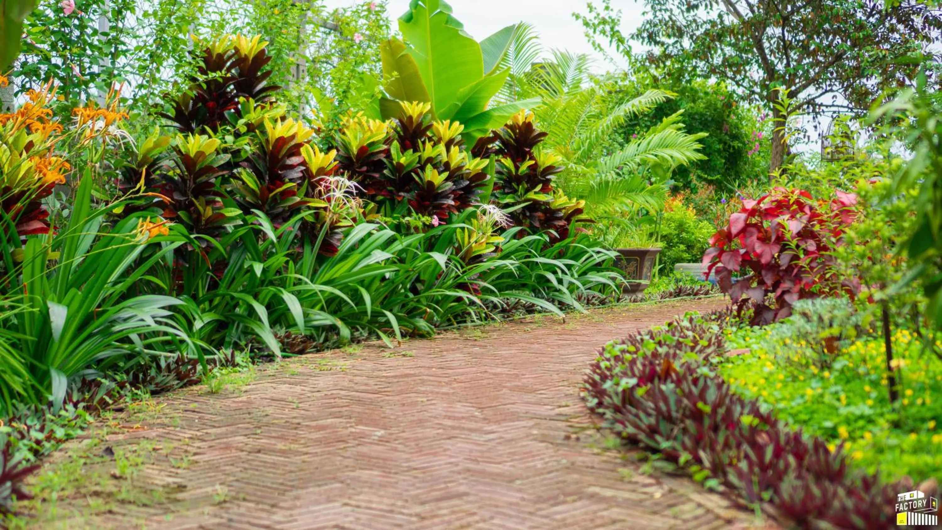 Spring in The Factory Ba Vì