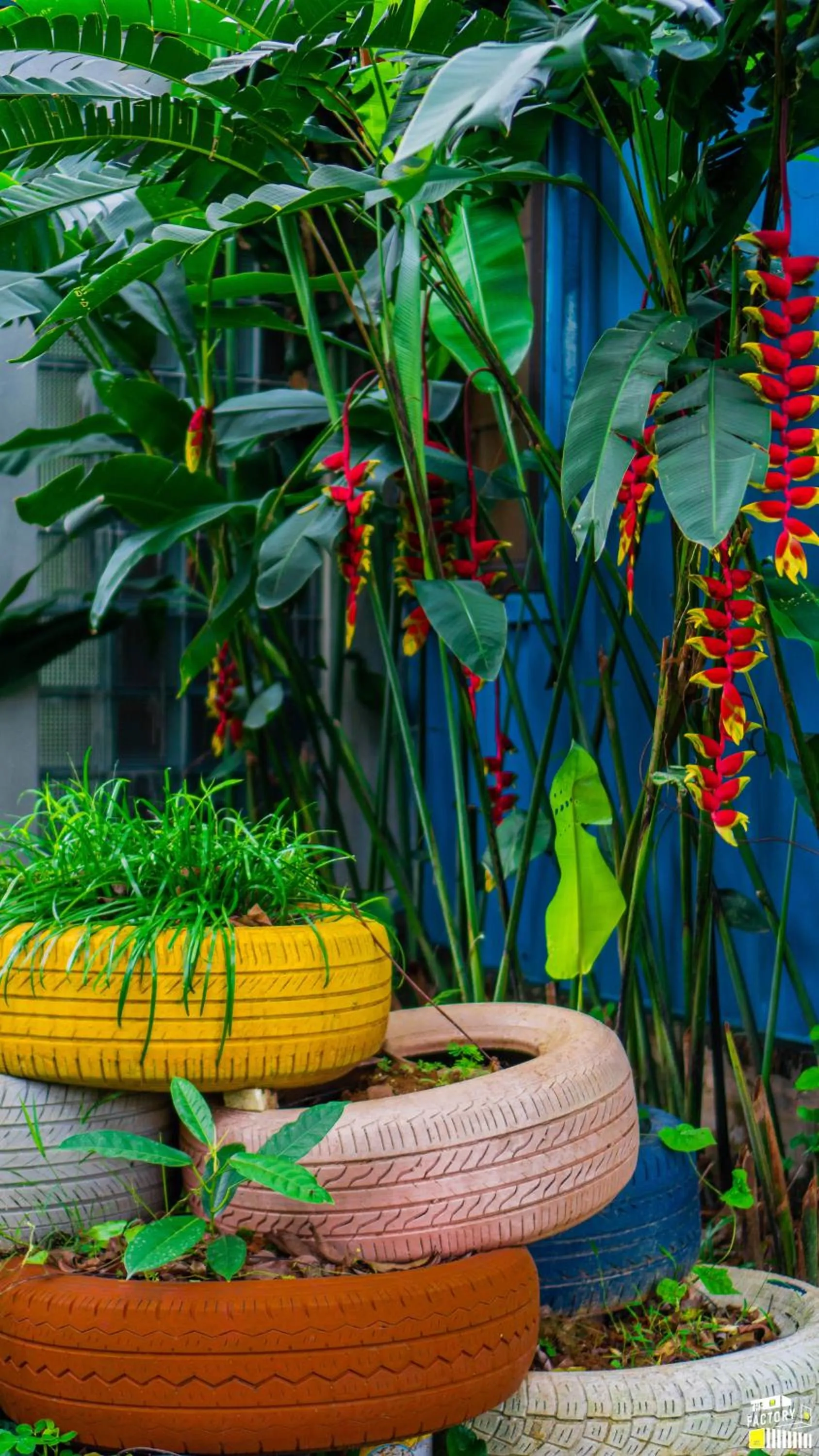 Spring in The Factory Ba Vì