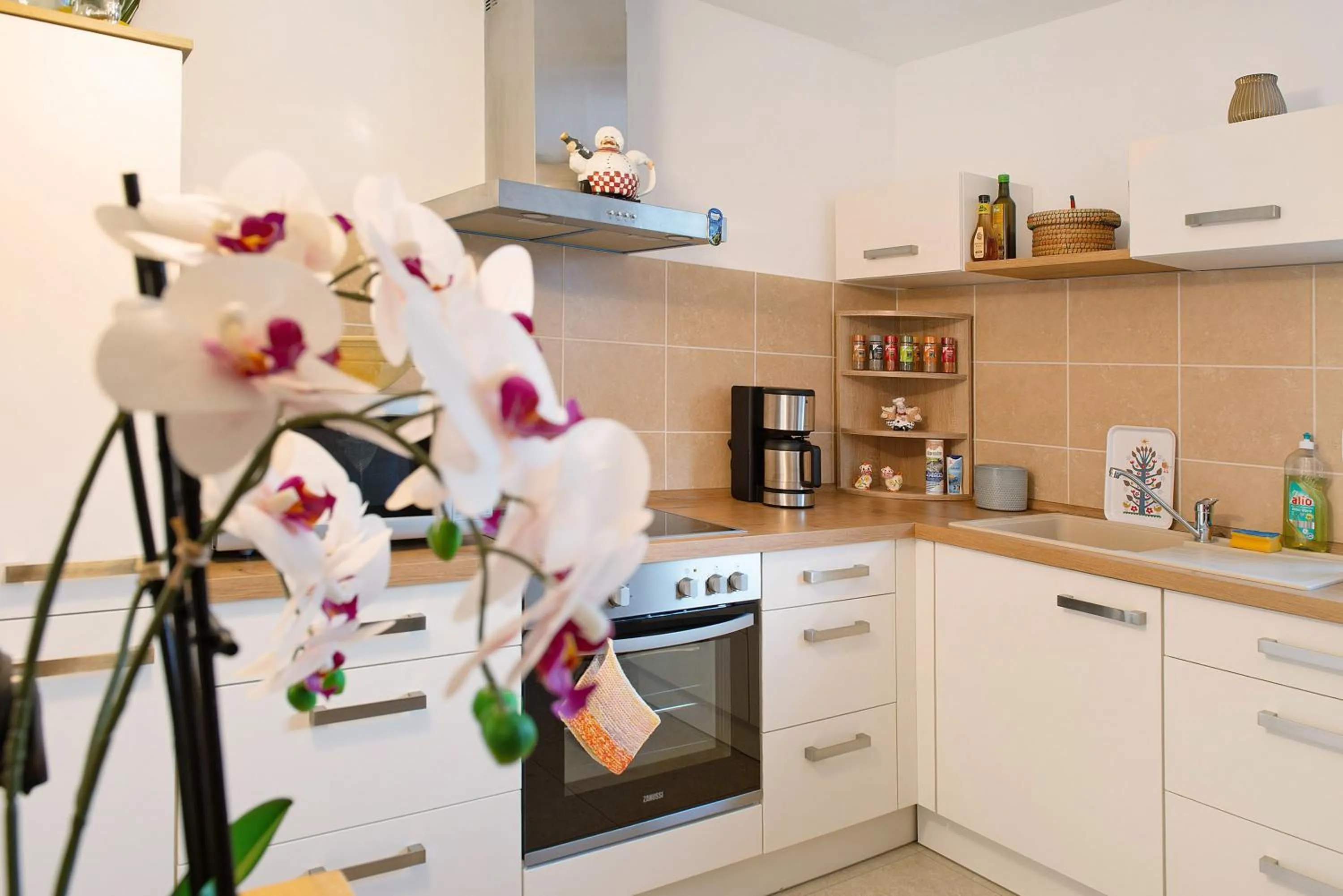 Kitchen or kitchenette in Aida