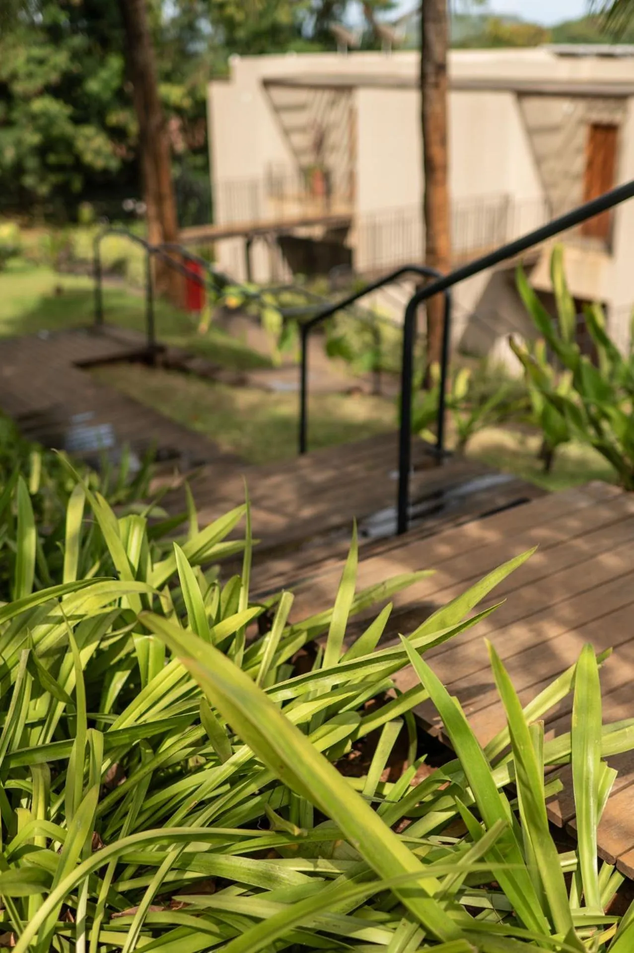 Hamares Boutique Hotel