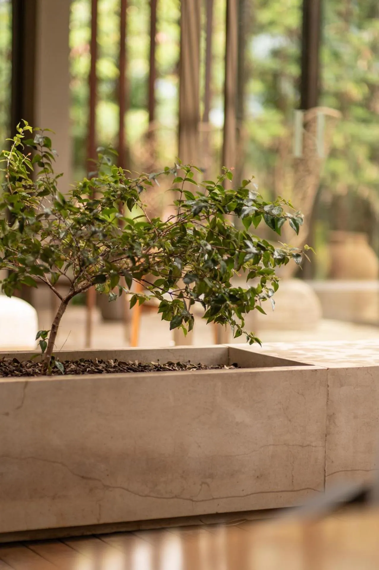 Hamares Boutique Hotel