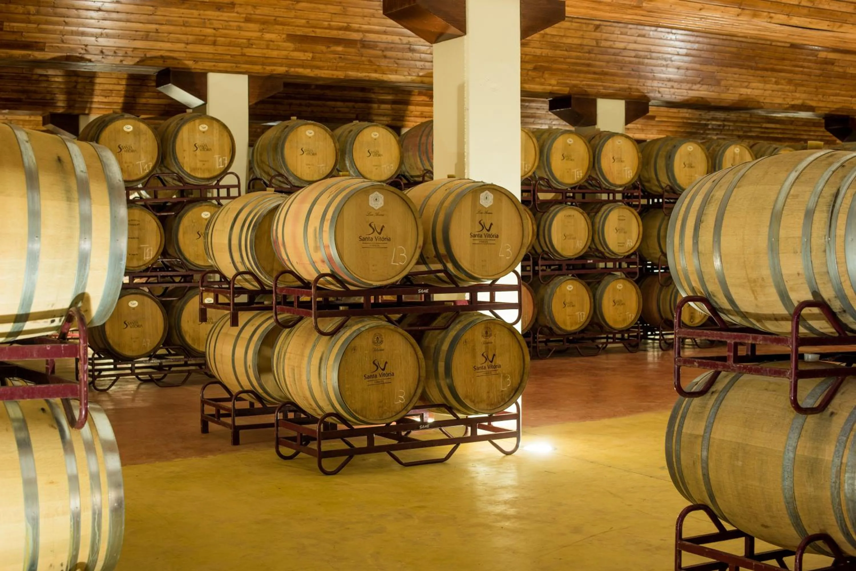 Activities in Vila Gale Collection Monte do Vilar