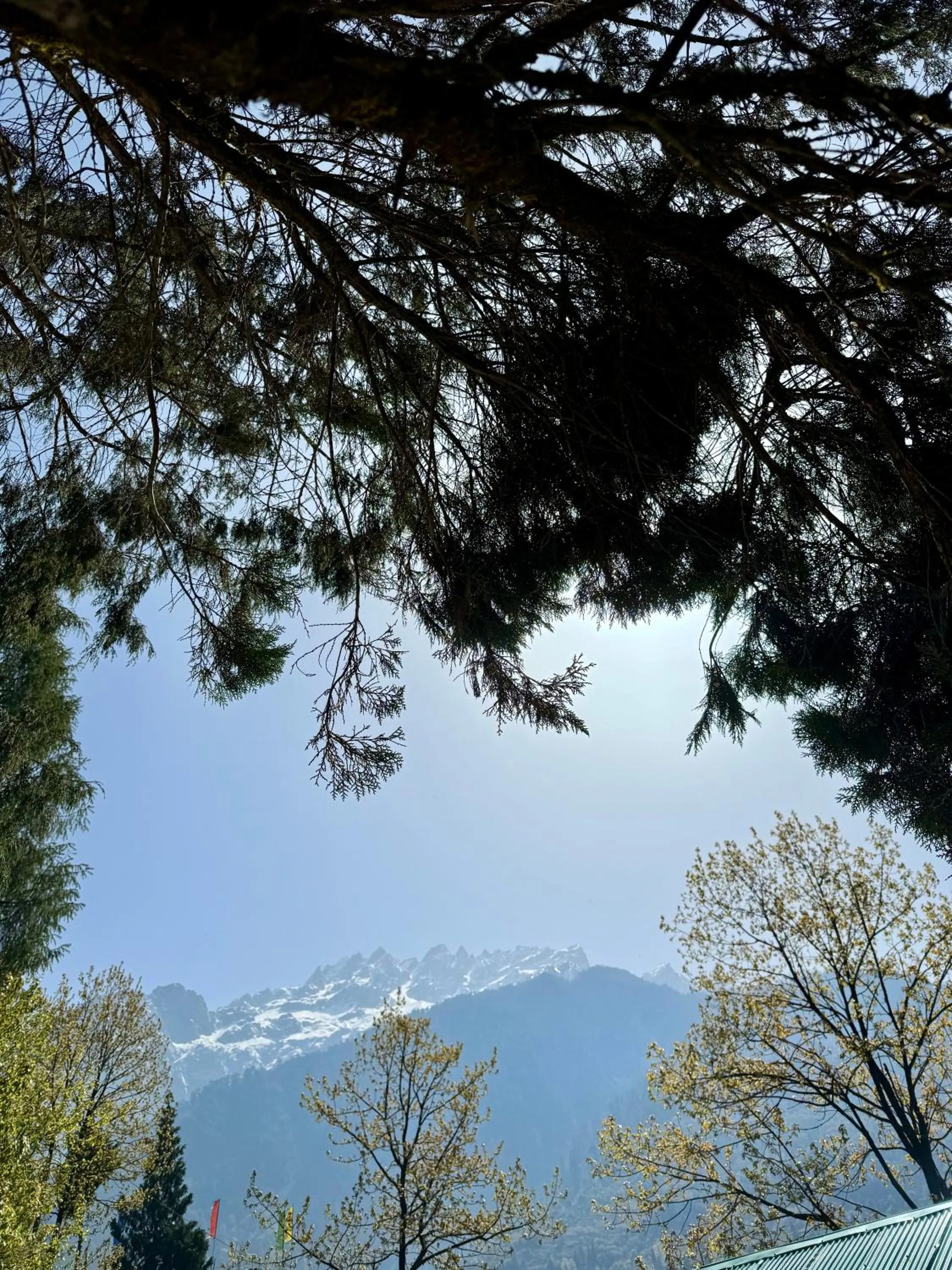 View (from property/room) in Apple Valley Cottages Lachung