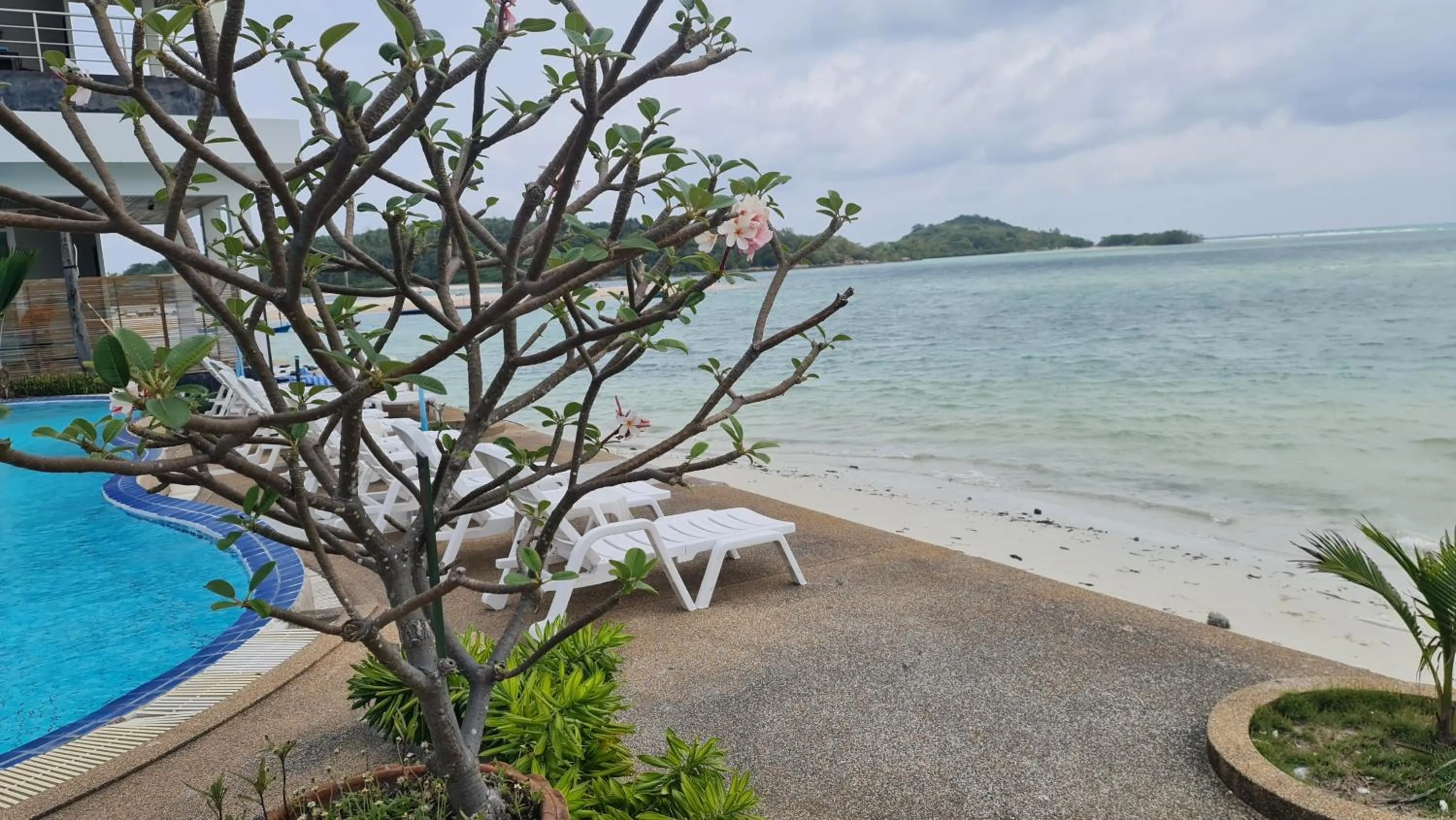 Balcony/Terrace in Smile Samui Chaweng Beach Front Resort