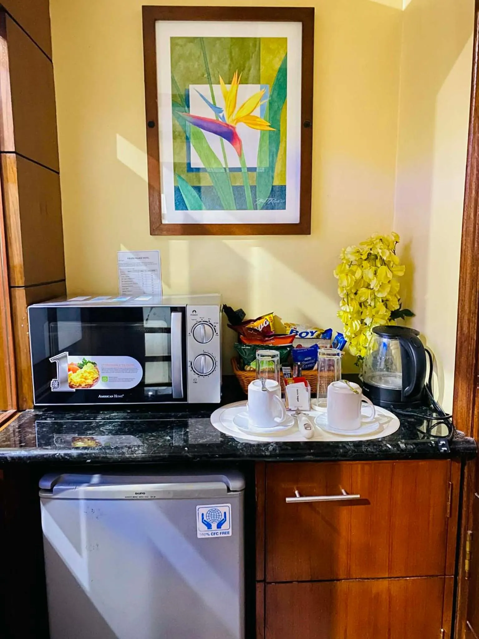 microwave in Fields Palace Hotel