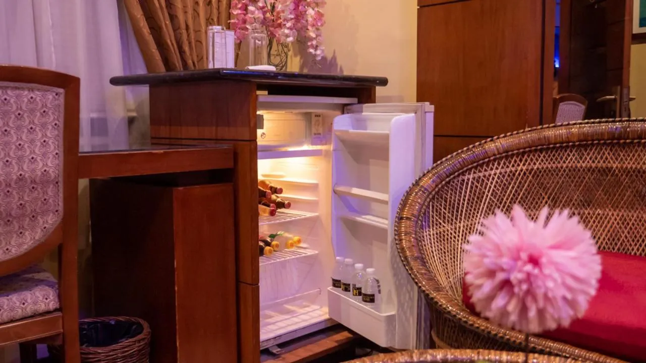 minibar in Fields Palace Hotel